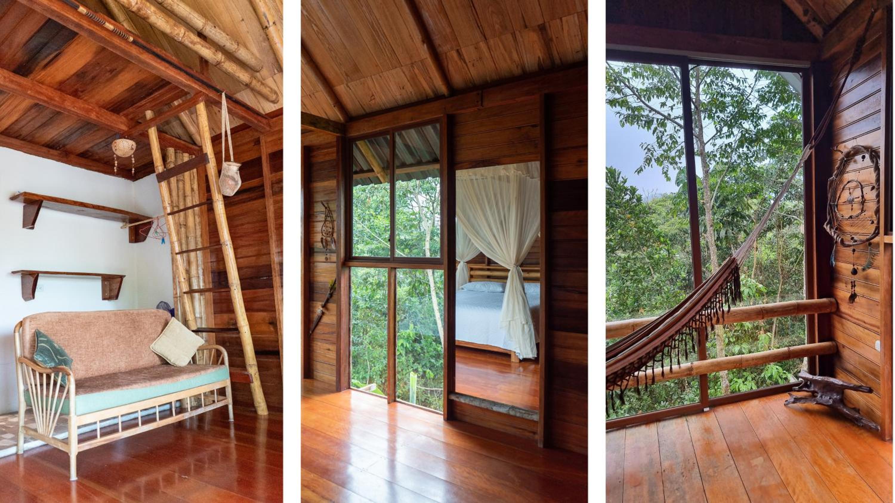 Sweet Home Amazon Region