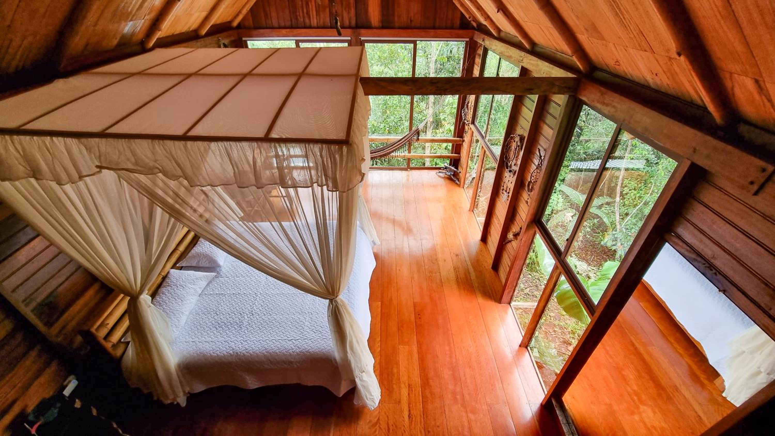 Sweet Home Amazon Region