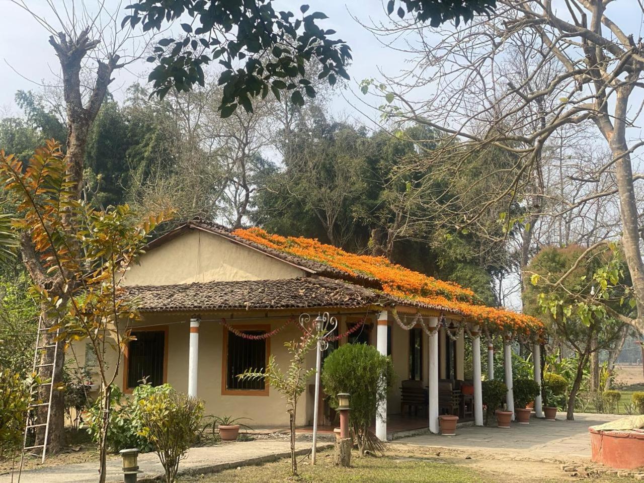 River Park International Resort