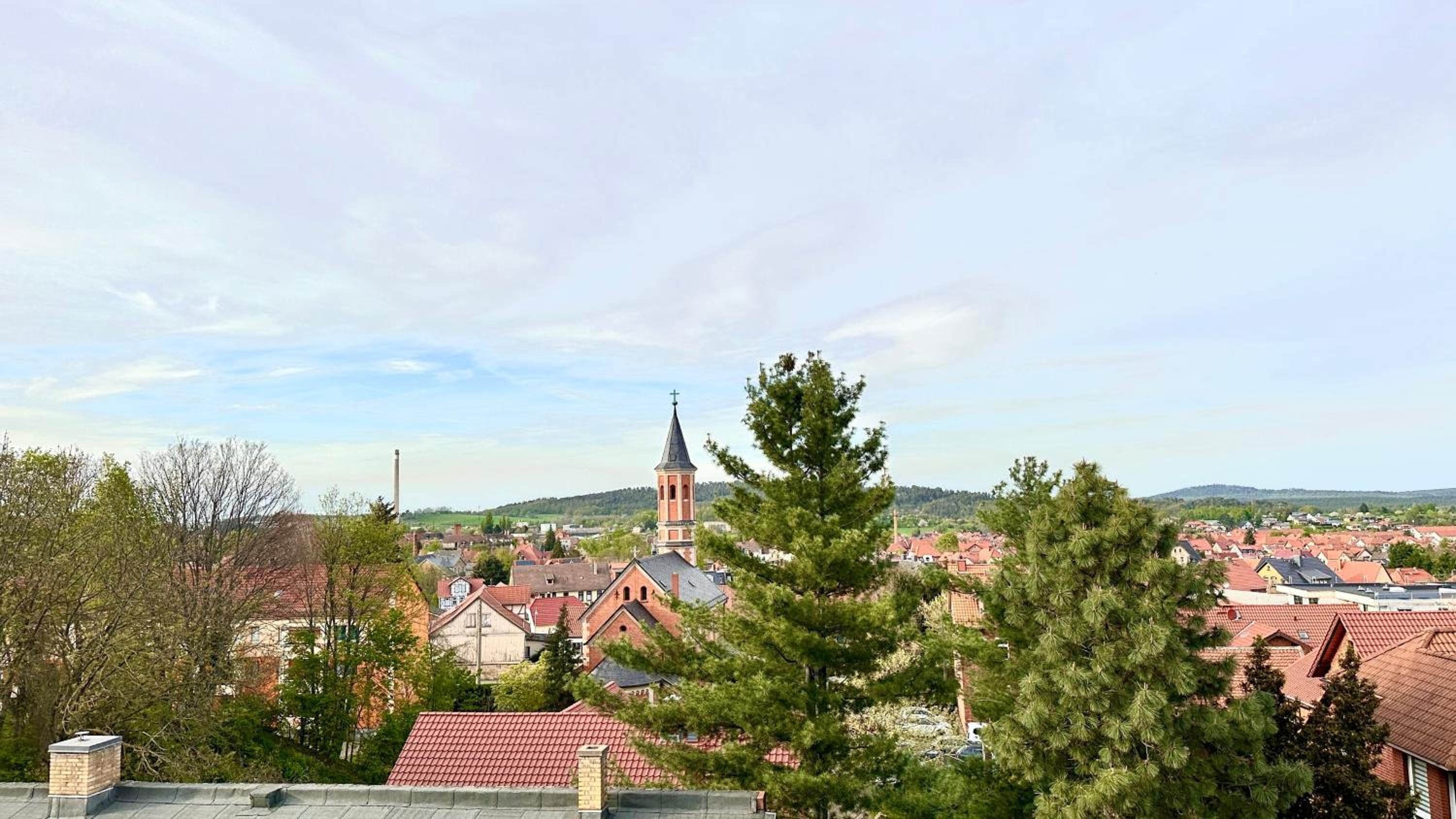 Villa Bellevue im Harz