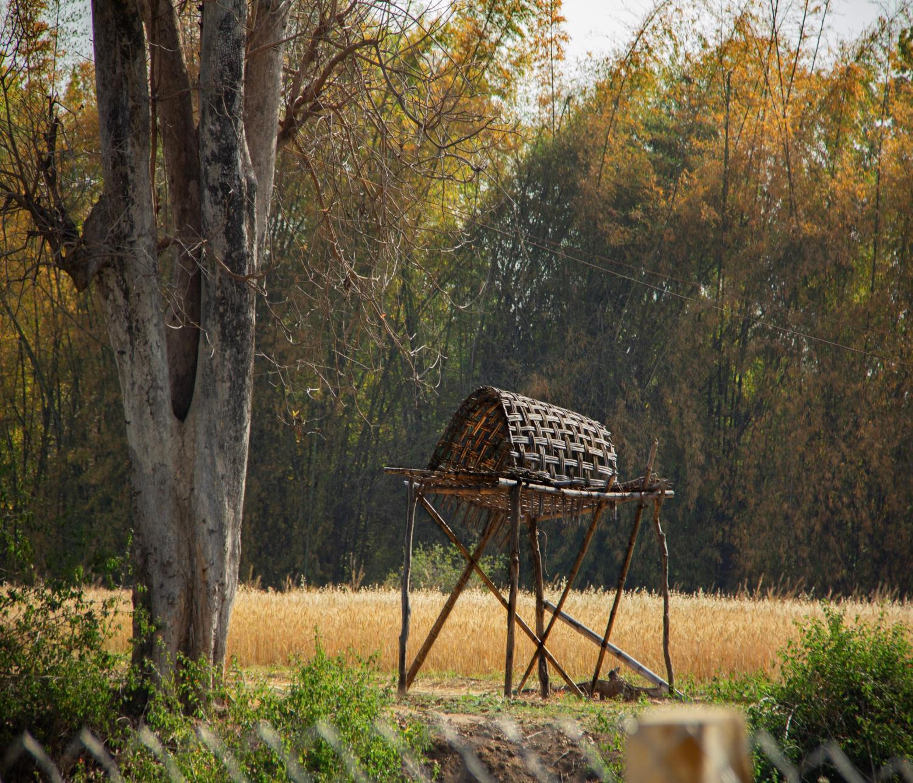 Tathastu Bandhavgarh