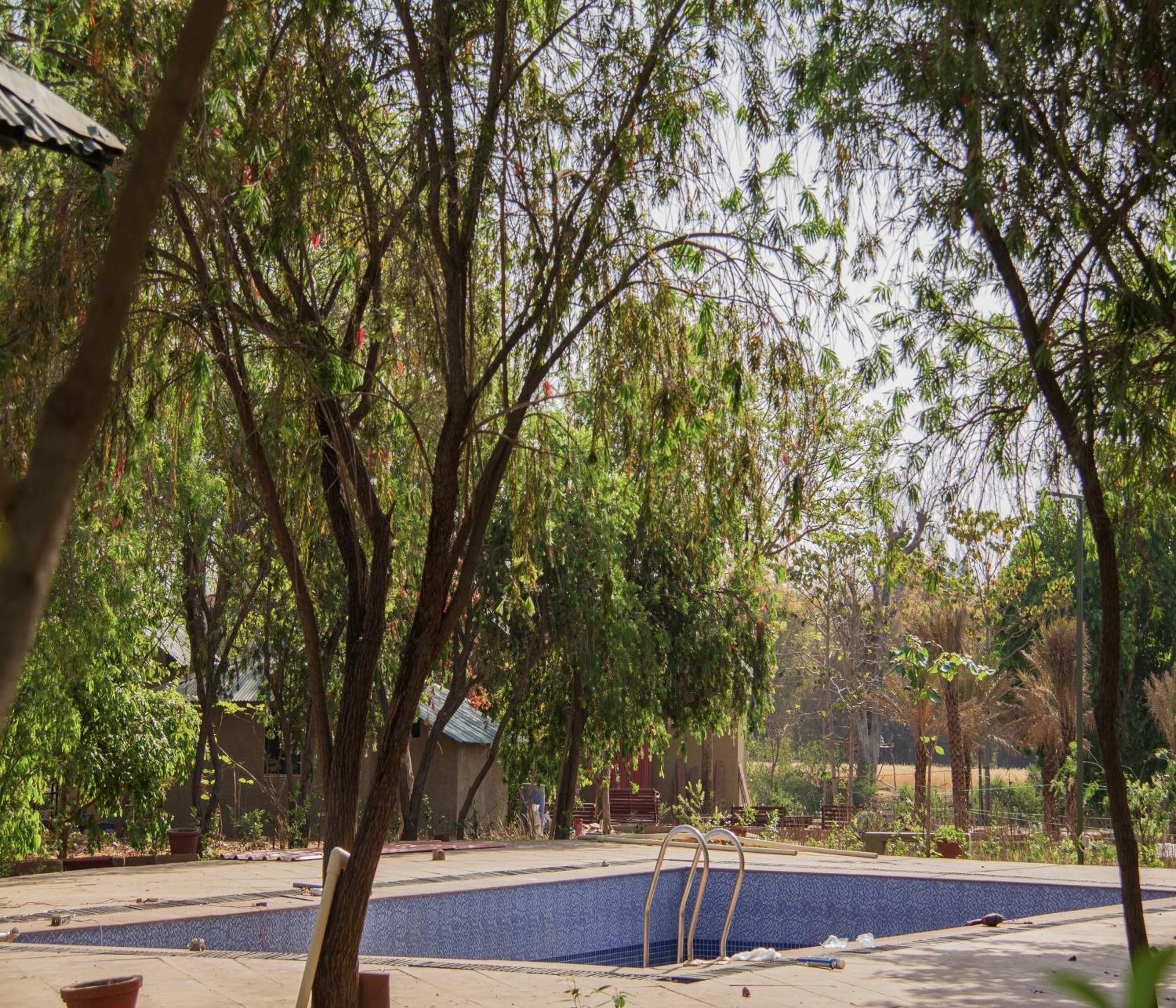 Tathastu Bandhavgarh