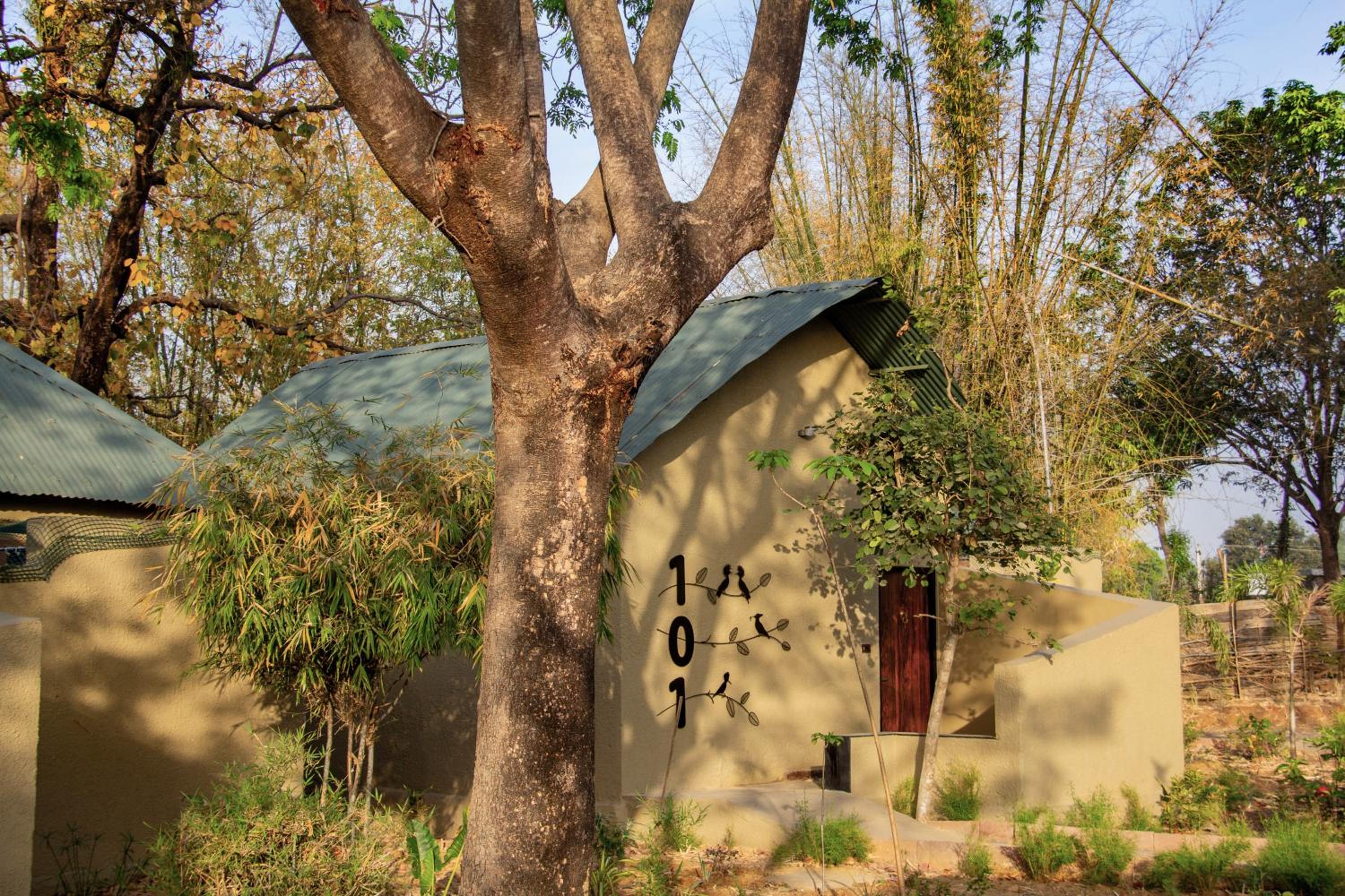 Tathastu Bandhavgarh