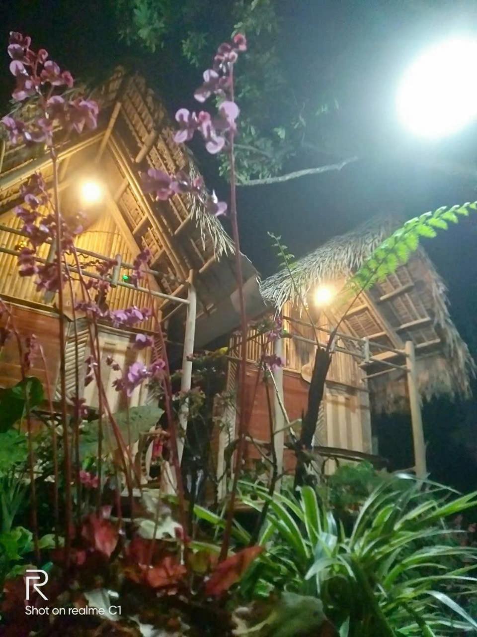 NaCo Lodge Homestay