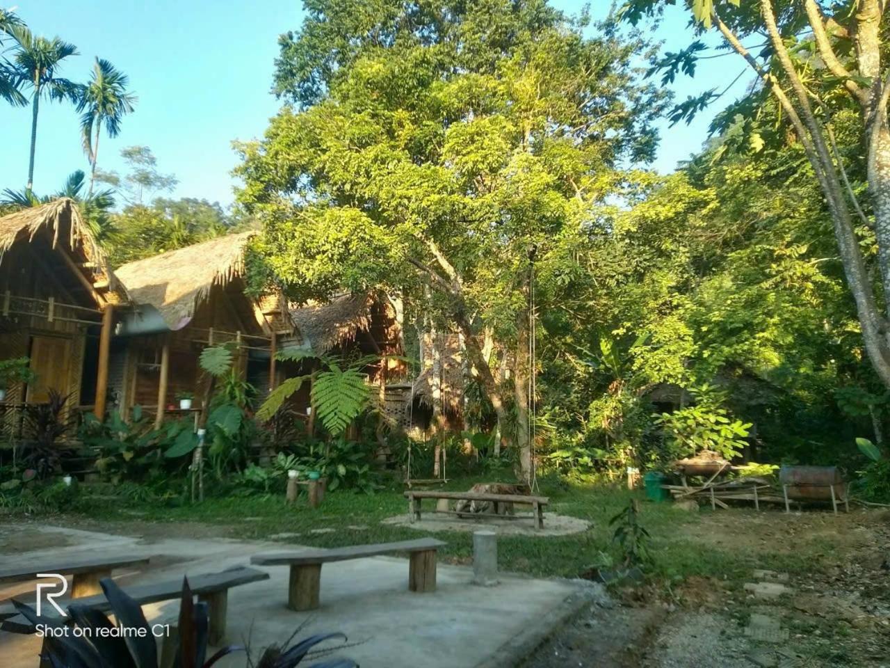 NaCo Lodge Homestay
