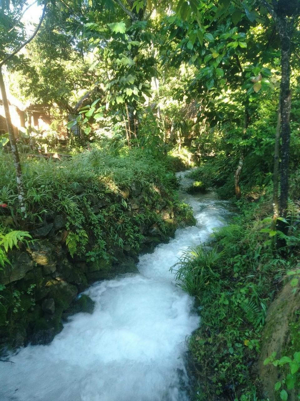 NaCo Lodge Homestay