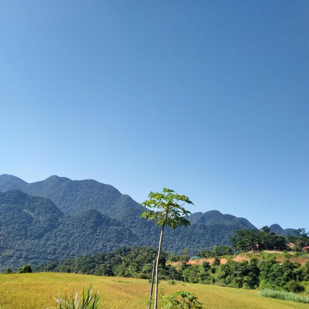 NaCo Lodge Homestay