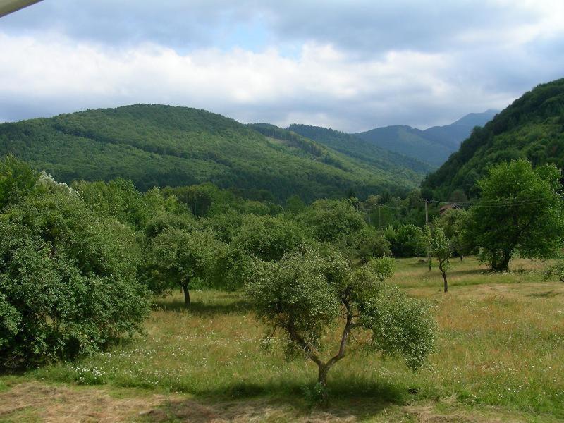 Photo 44