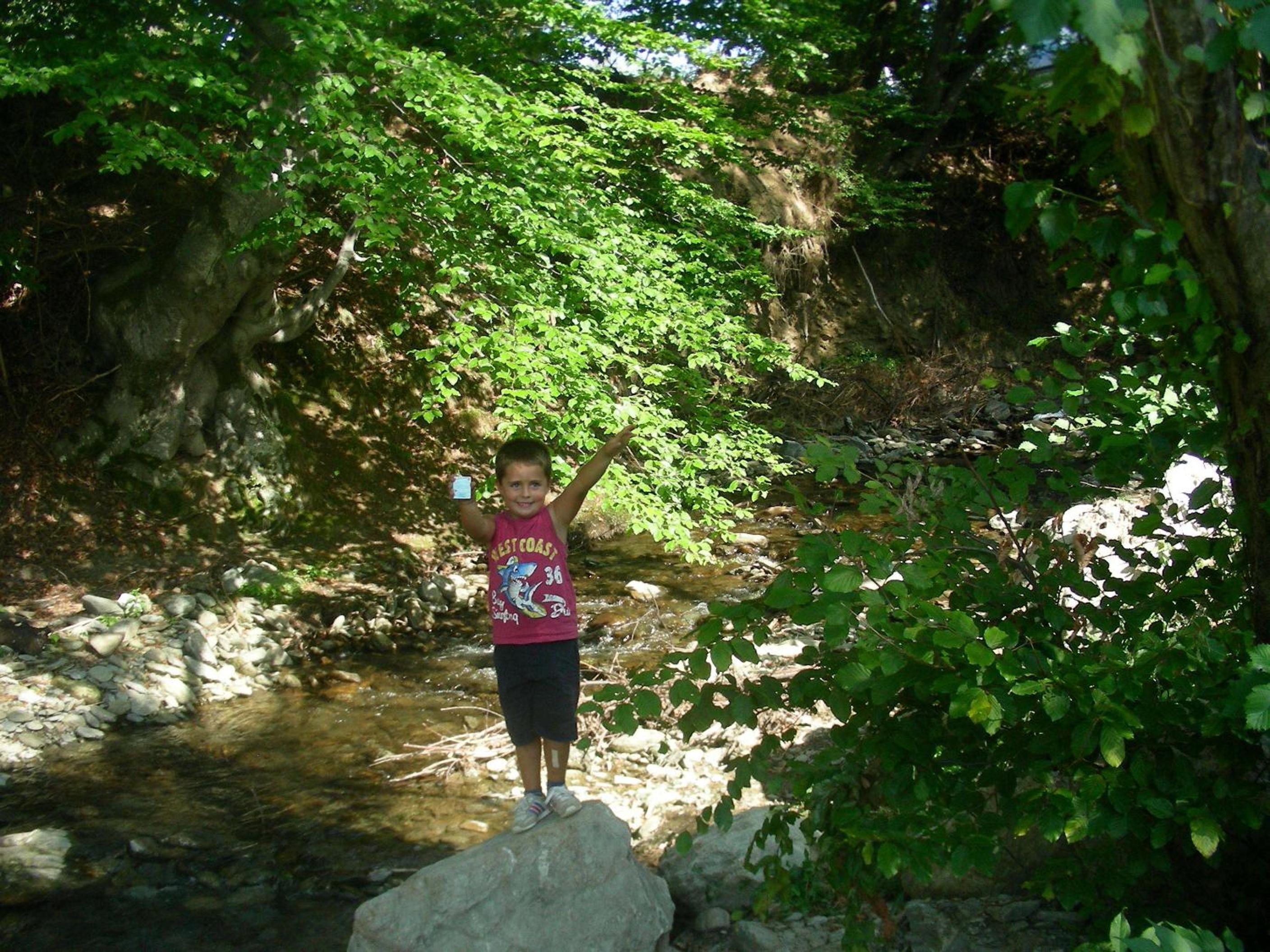 Photo 43