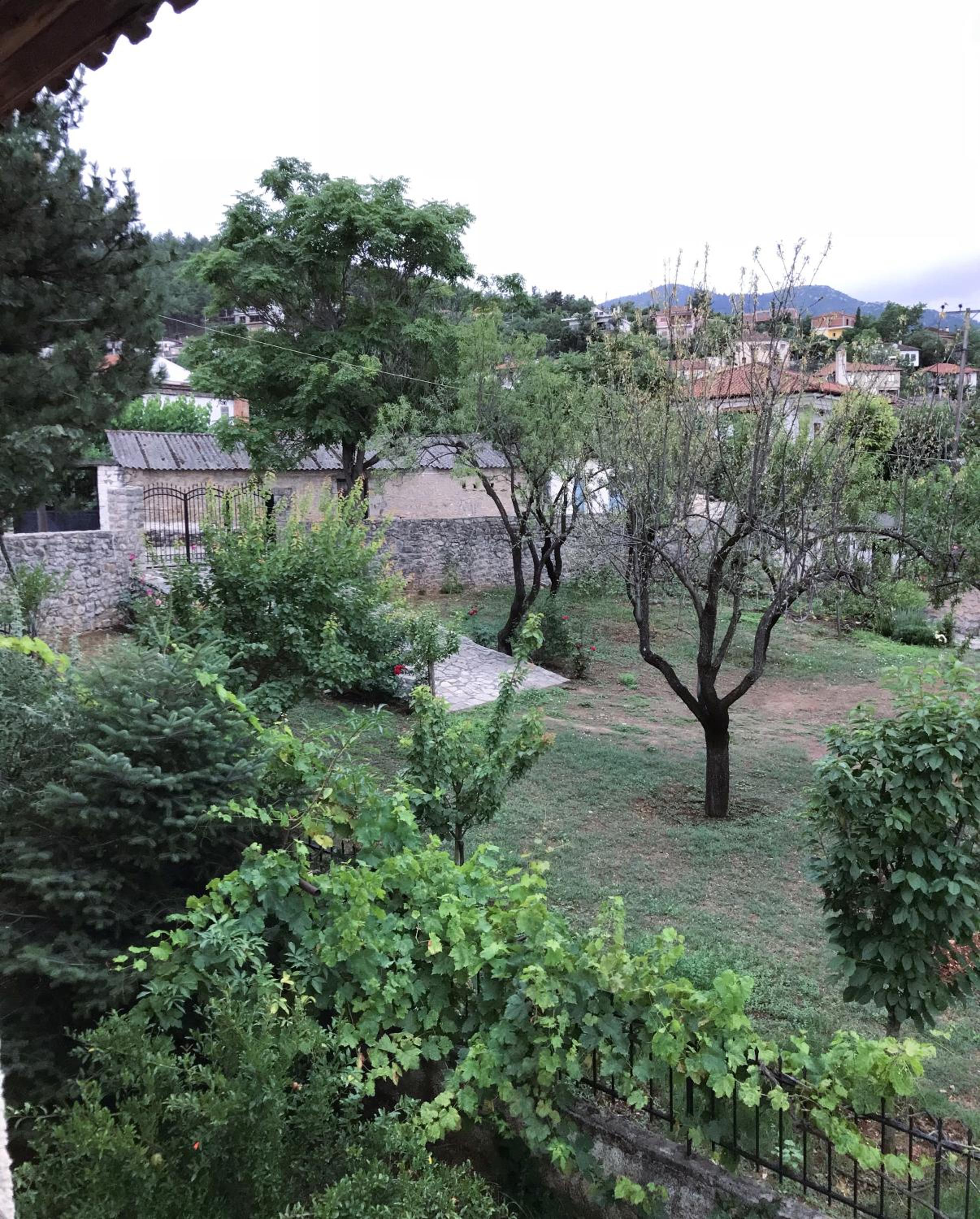 Photo 17