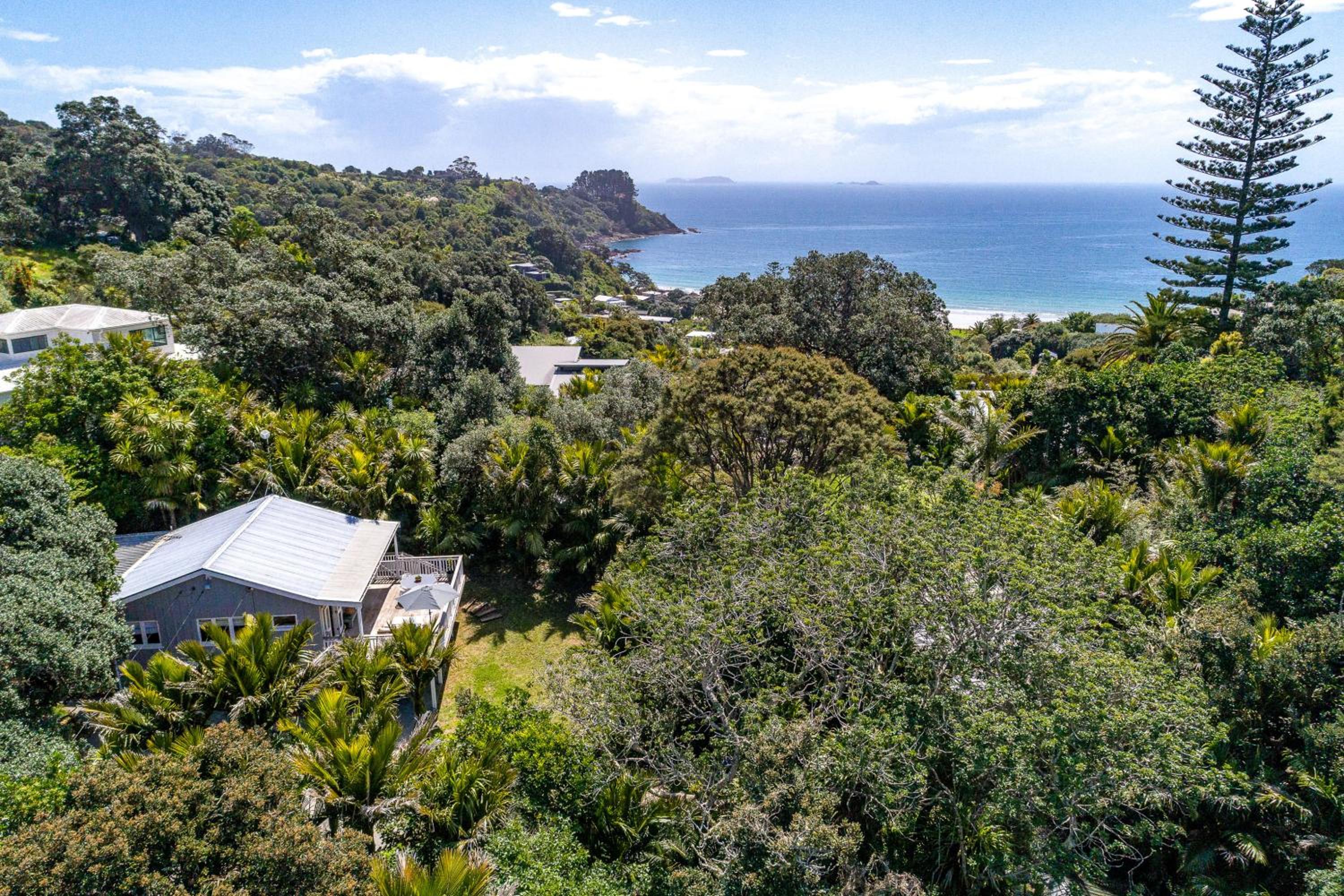 Nikau Cottage - Palm Beach Holiday Home view 2