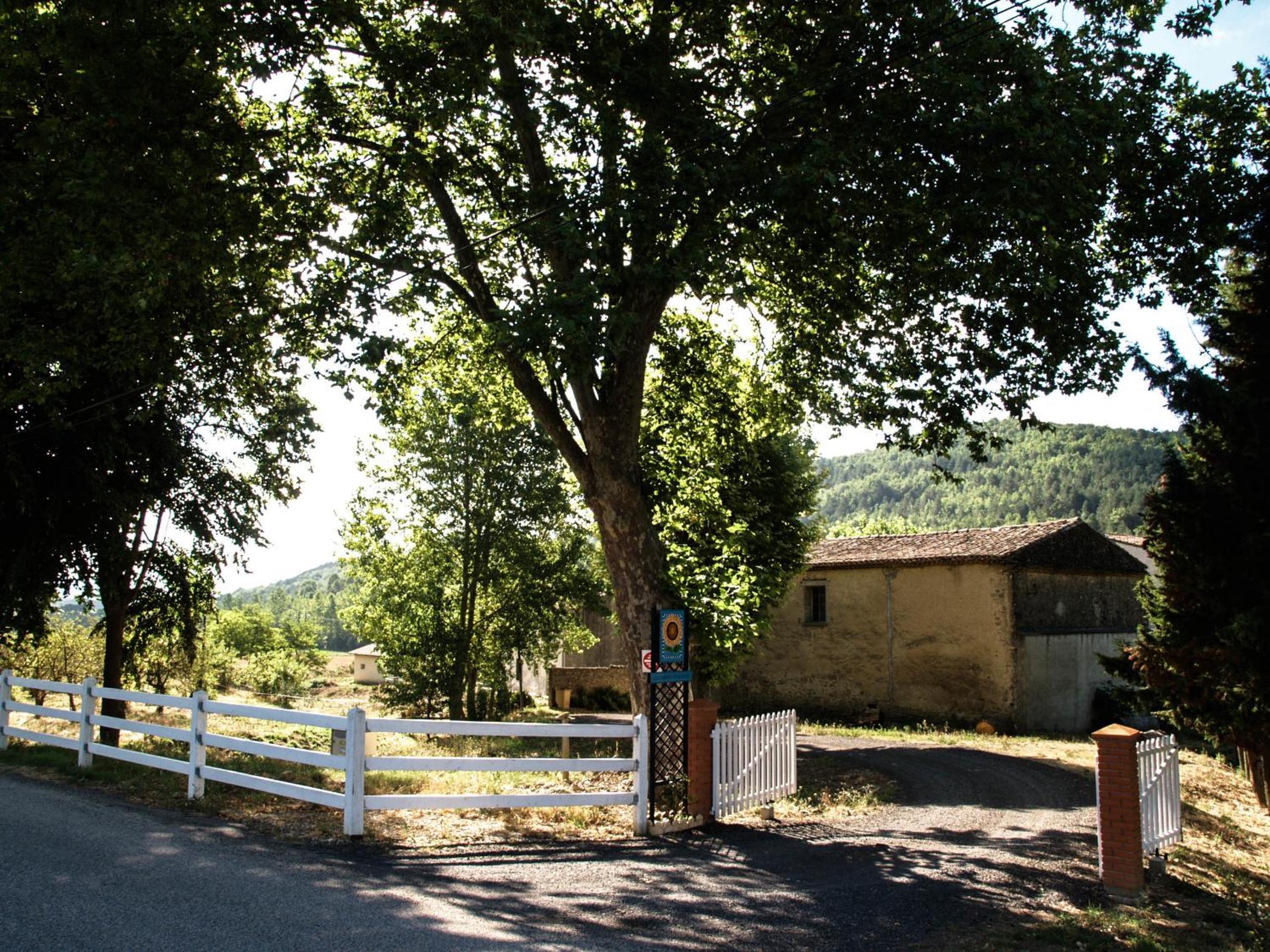Photo 19