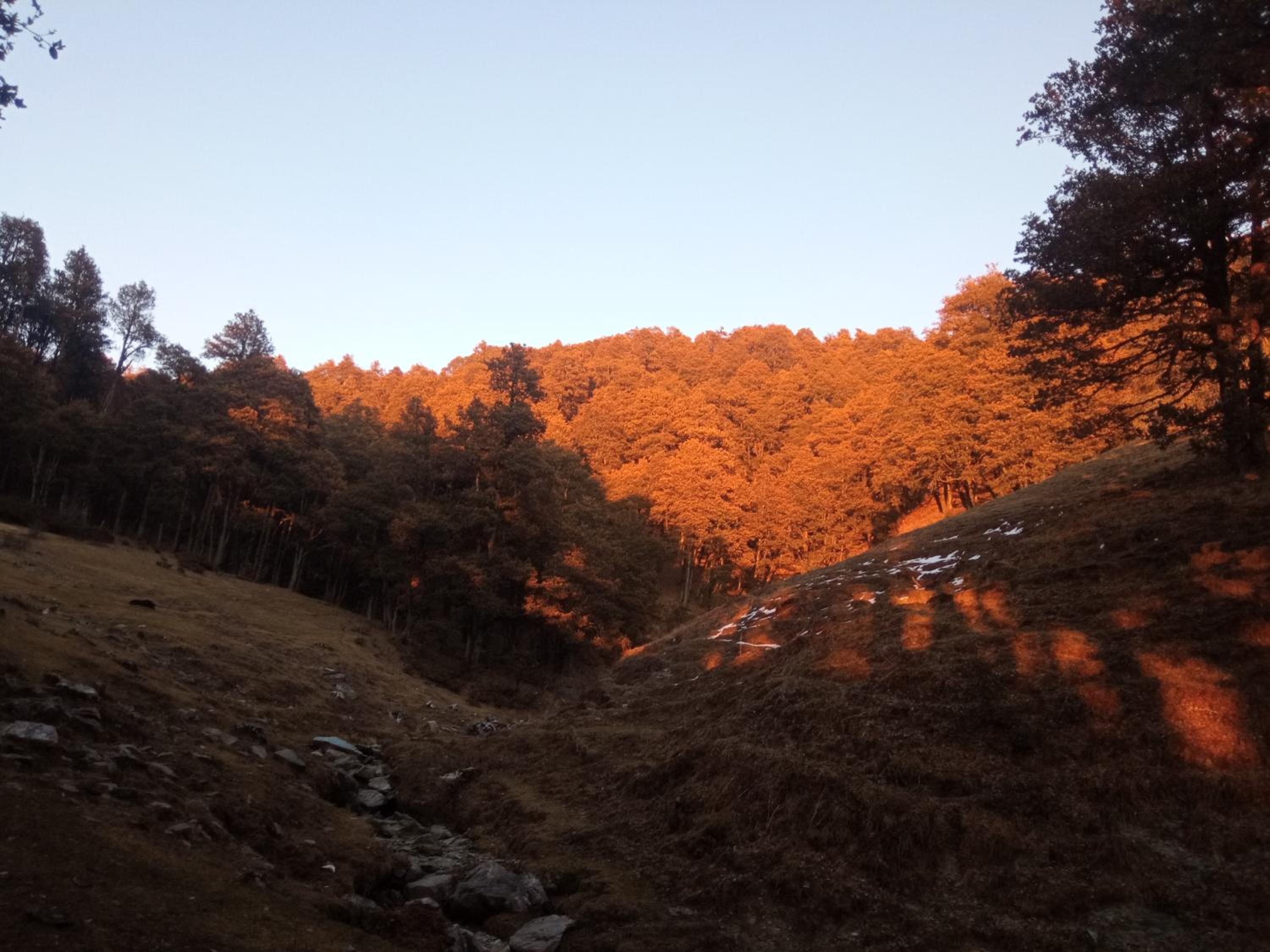 Rijul Homestay - Jibhi view 5