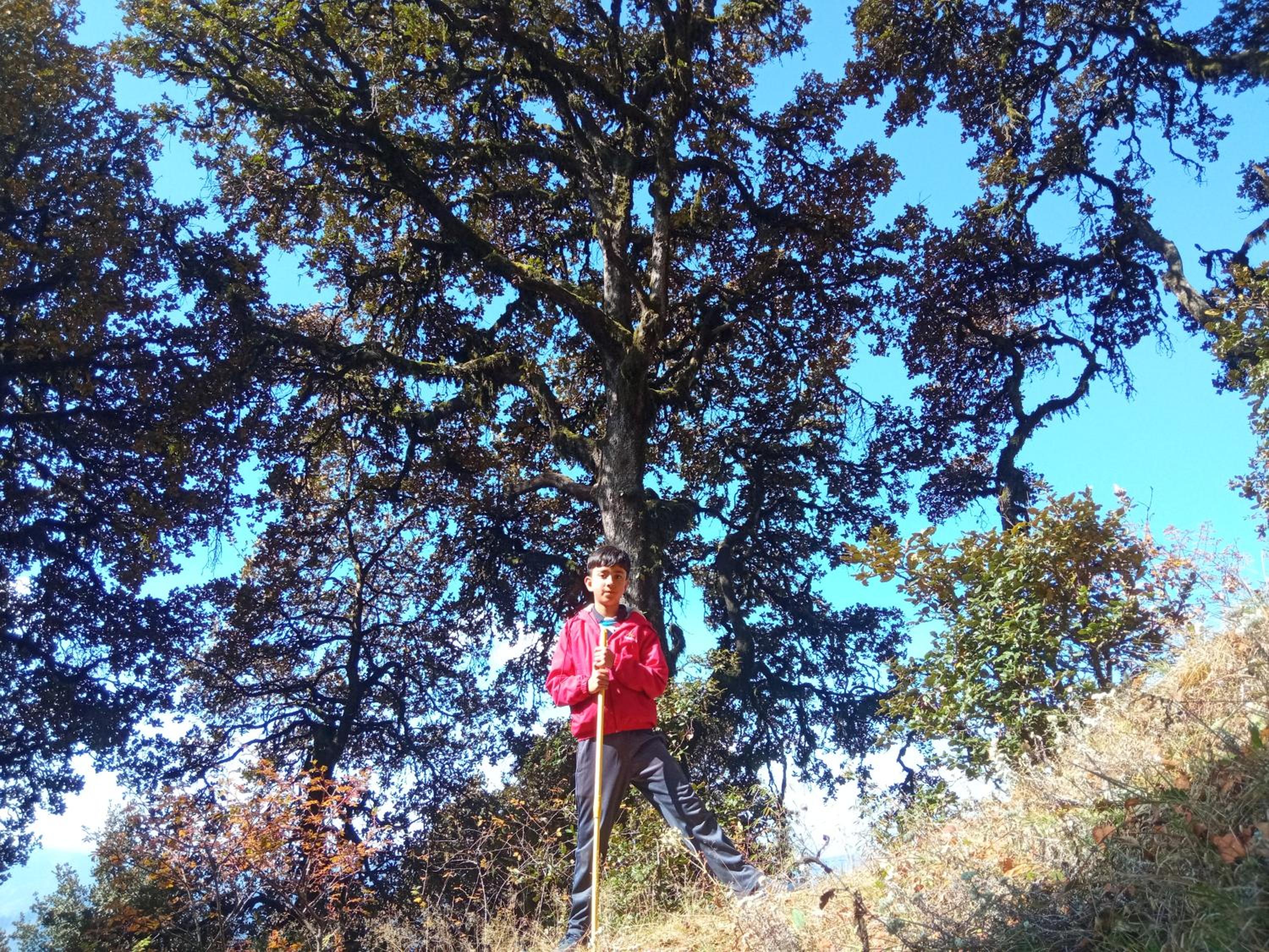 Photo 21