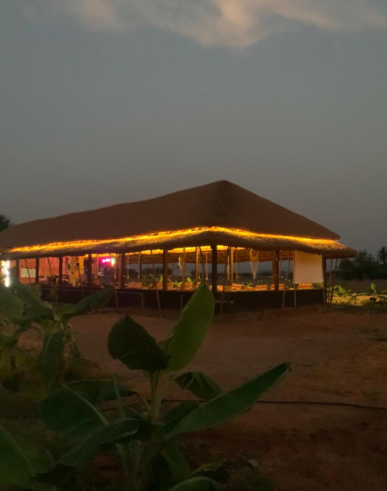 Tropical Hampi