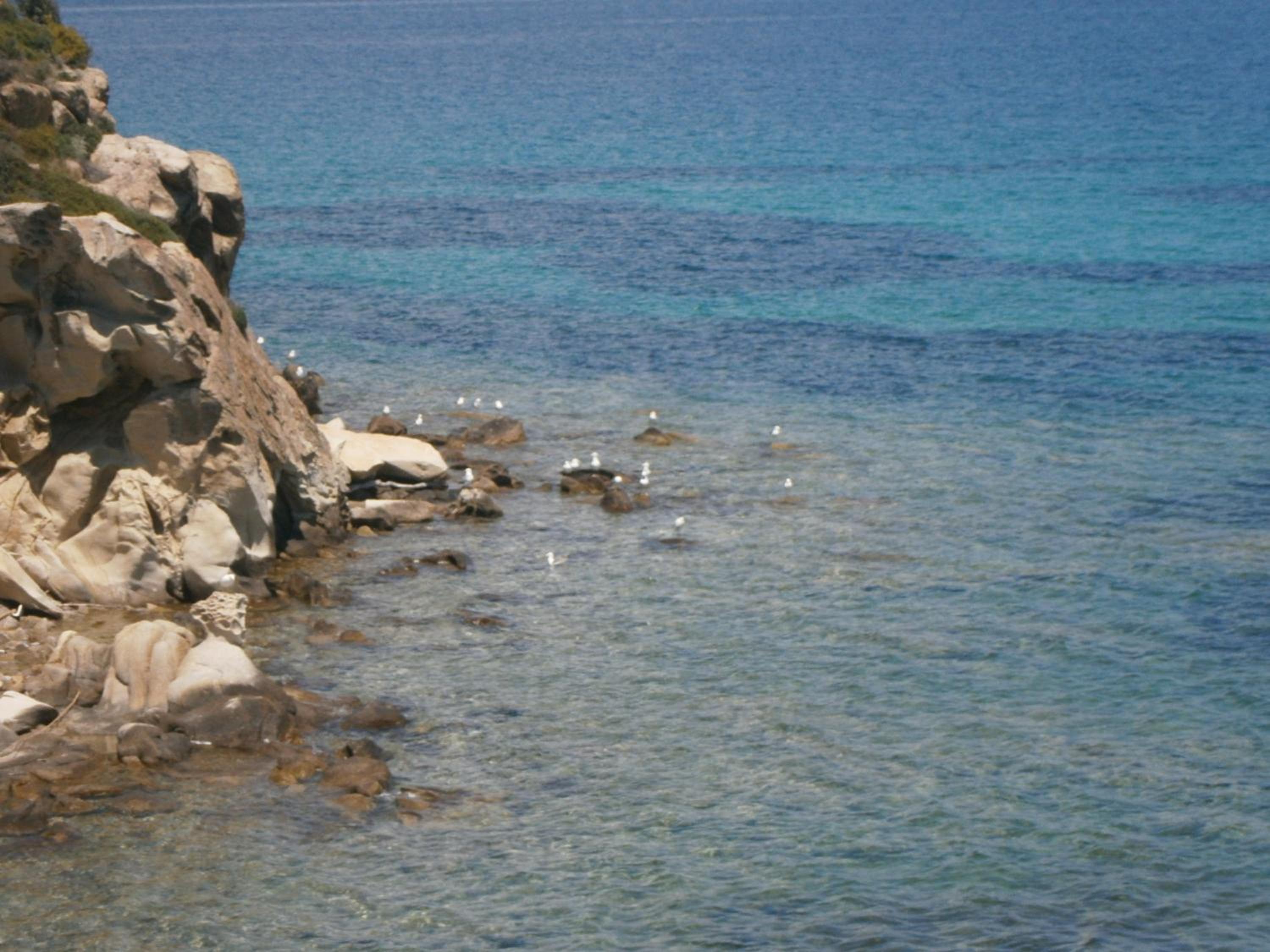 Barbagiannis House