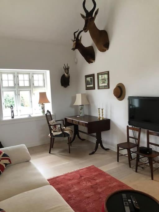 Cozy, quiet guest house perfect for business or pleasure view 2
