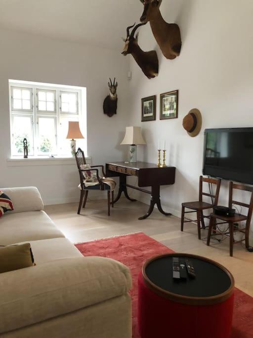 Cozy, quiet guest house perfect for business or pleasure view 4