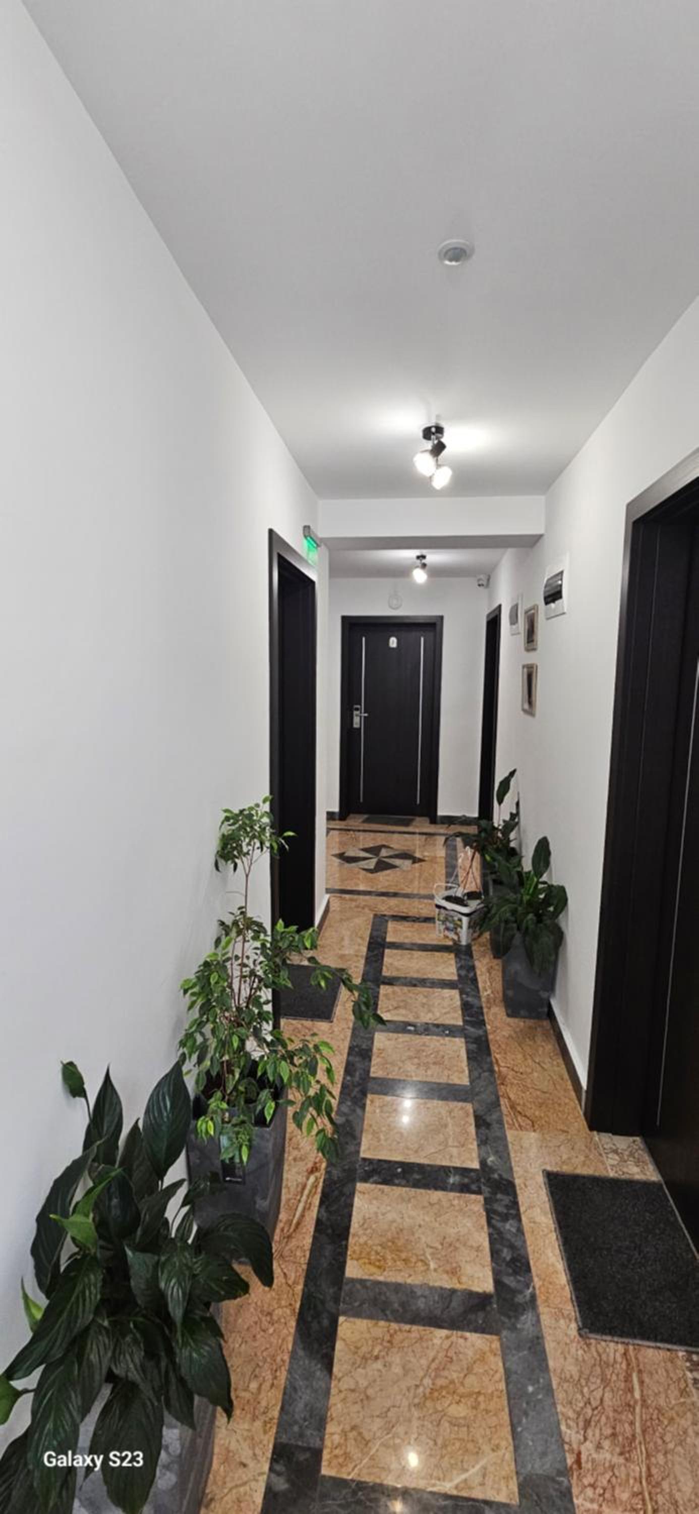 Guest House Saint Petka