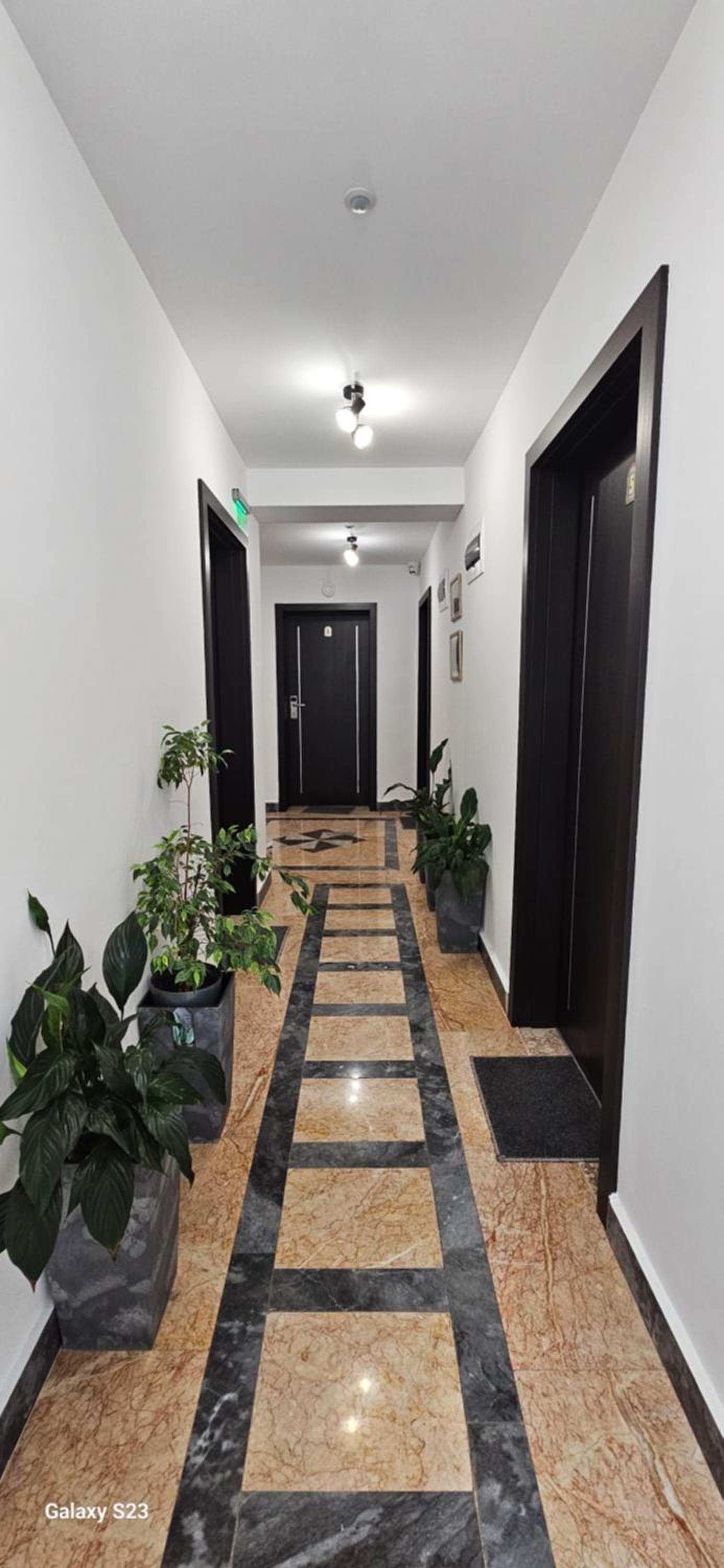 Guest House Saint Petka