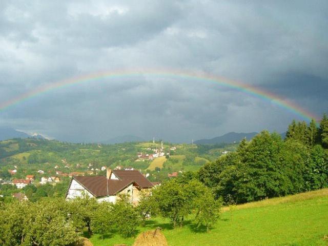 Photo 27