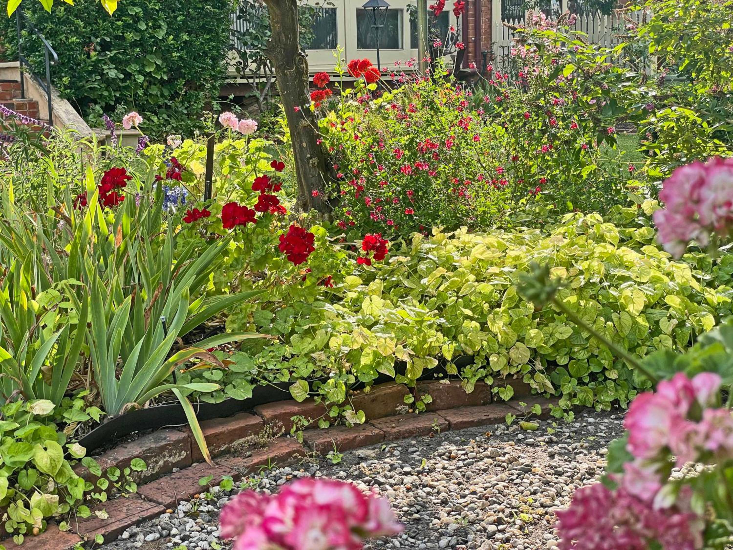 Gold and Grapes Garden Suites
