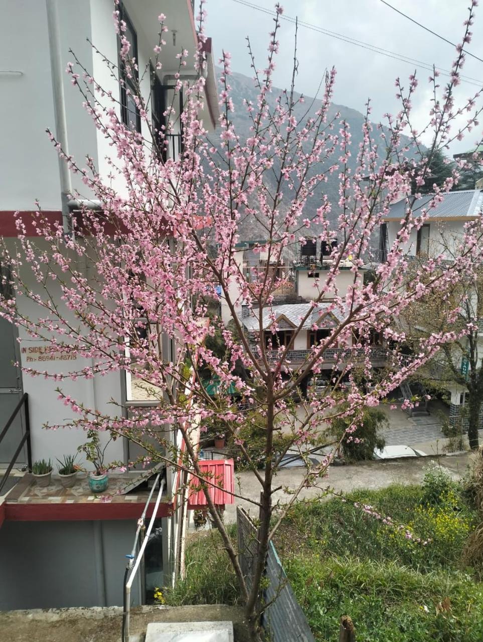 Photo 43