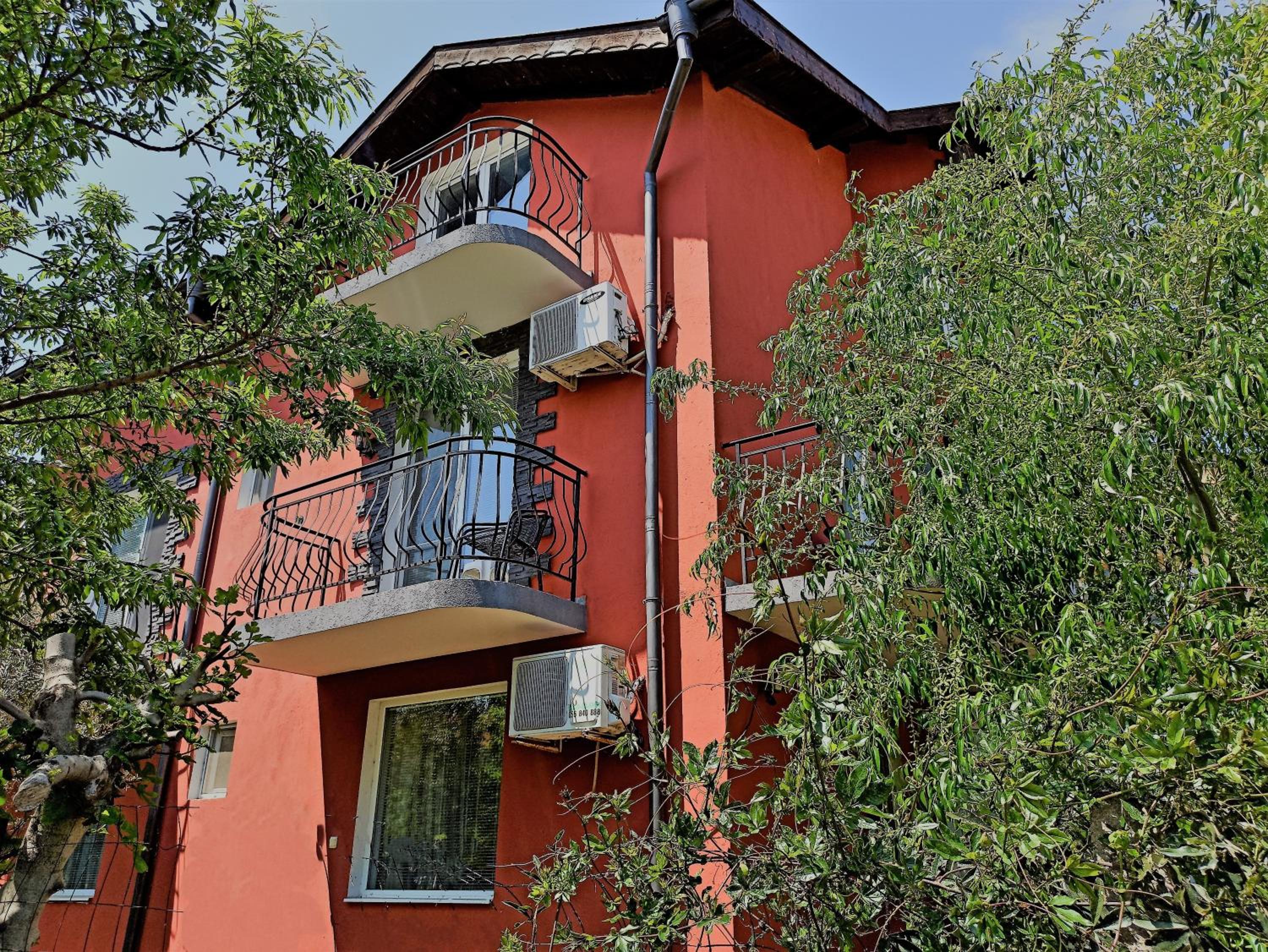 Guest House Sunflowers