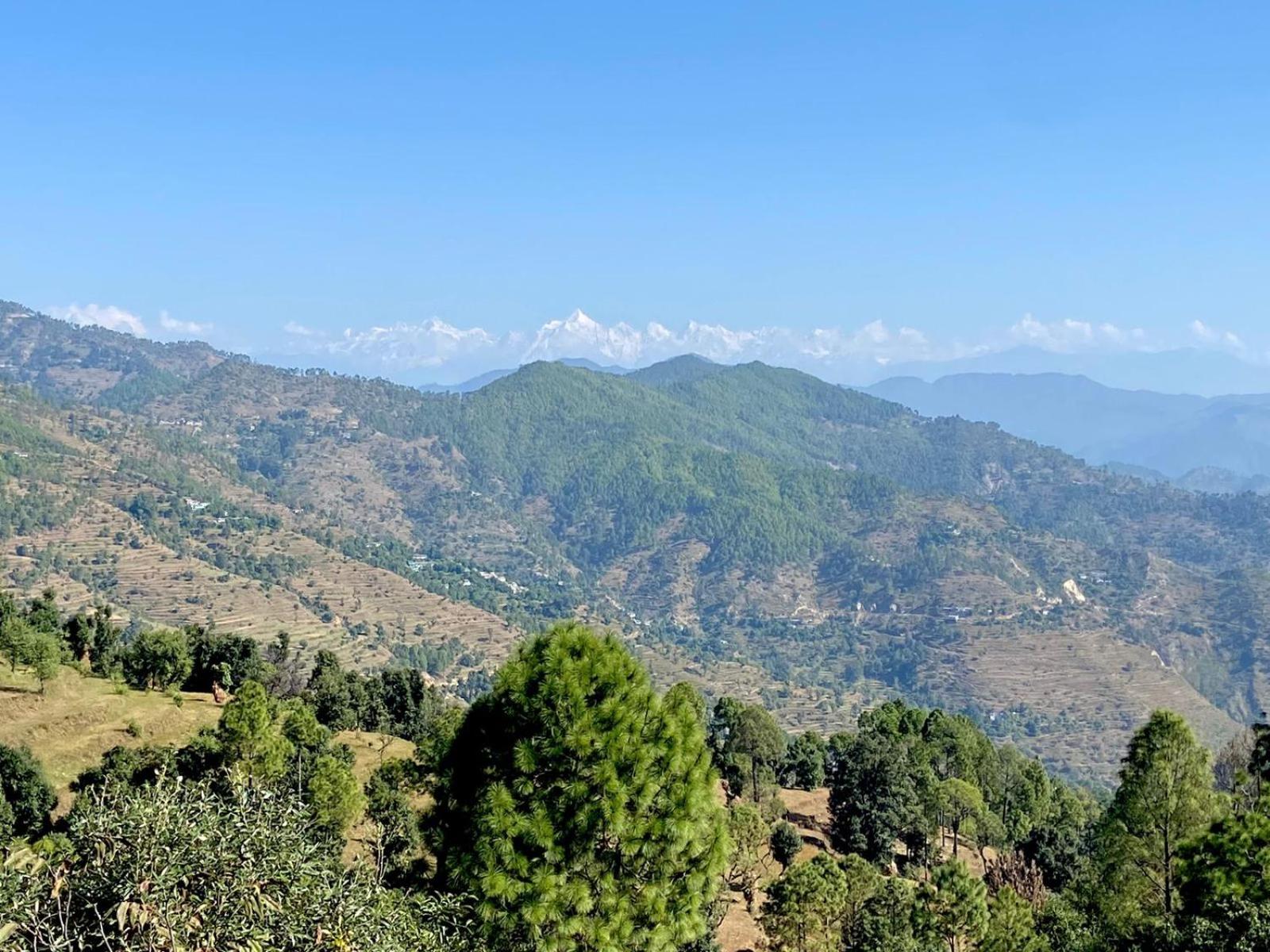 Himdarshan Homestay