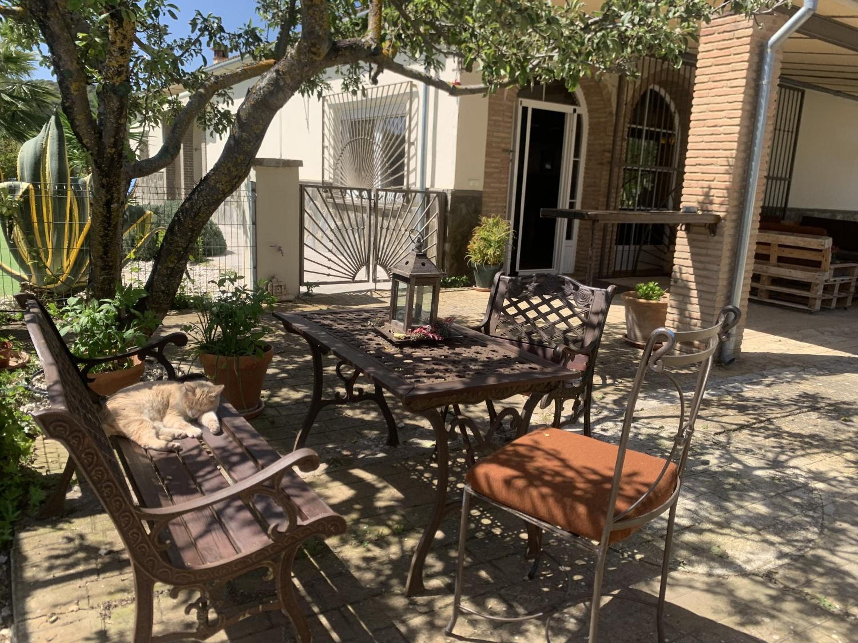 Villa Rural Acinipo