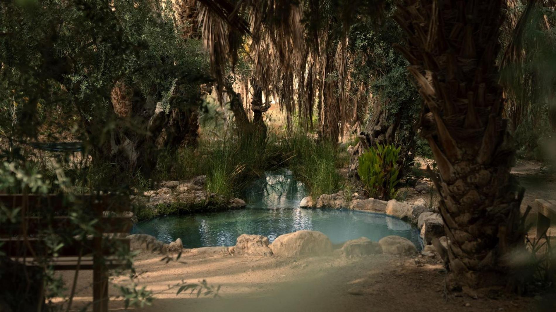 MOA Living - Desert Stay with Shelter Access