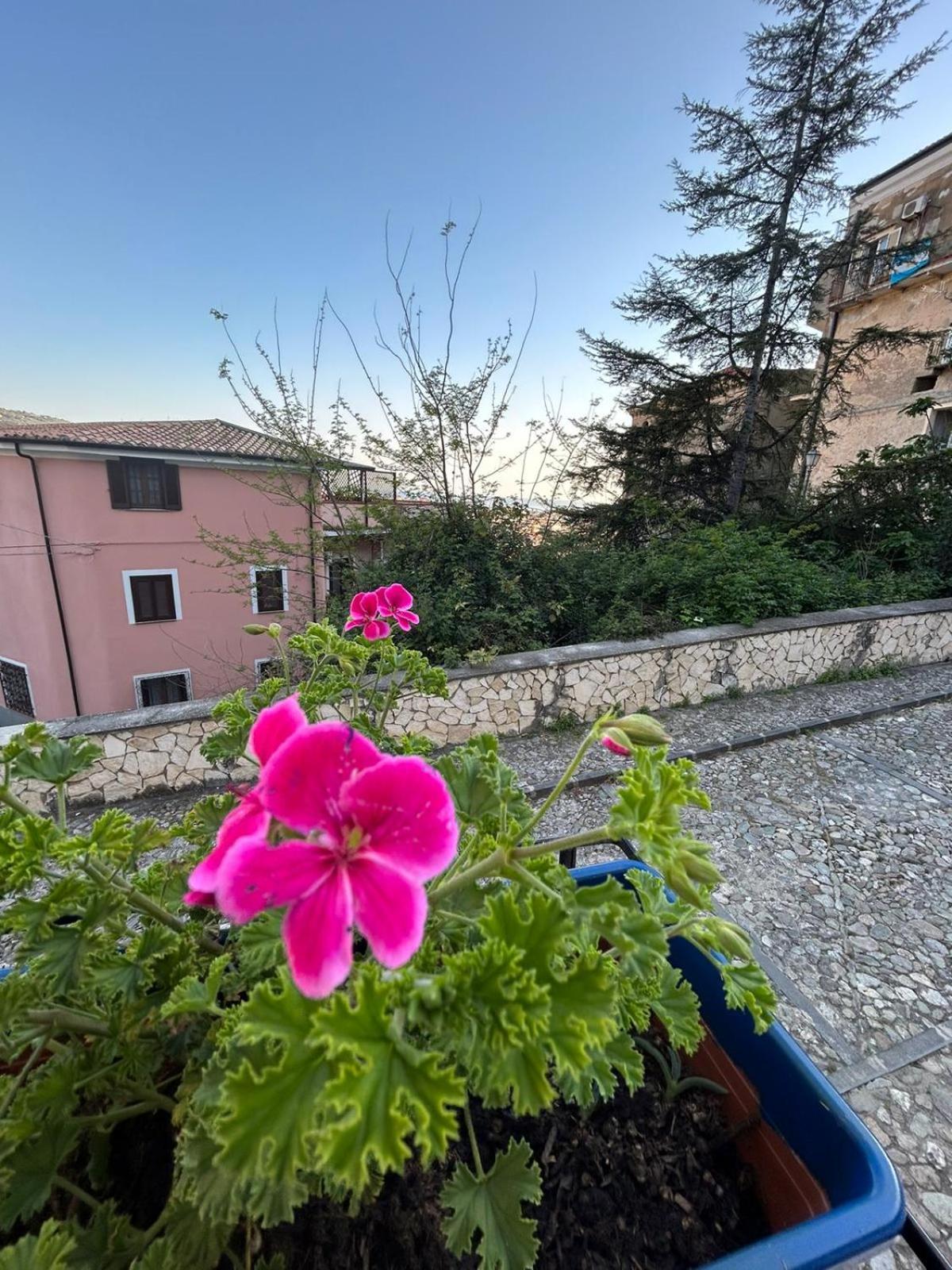 Dimora Dante photo 3