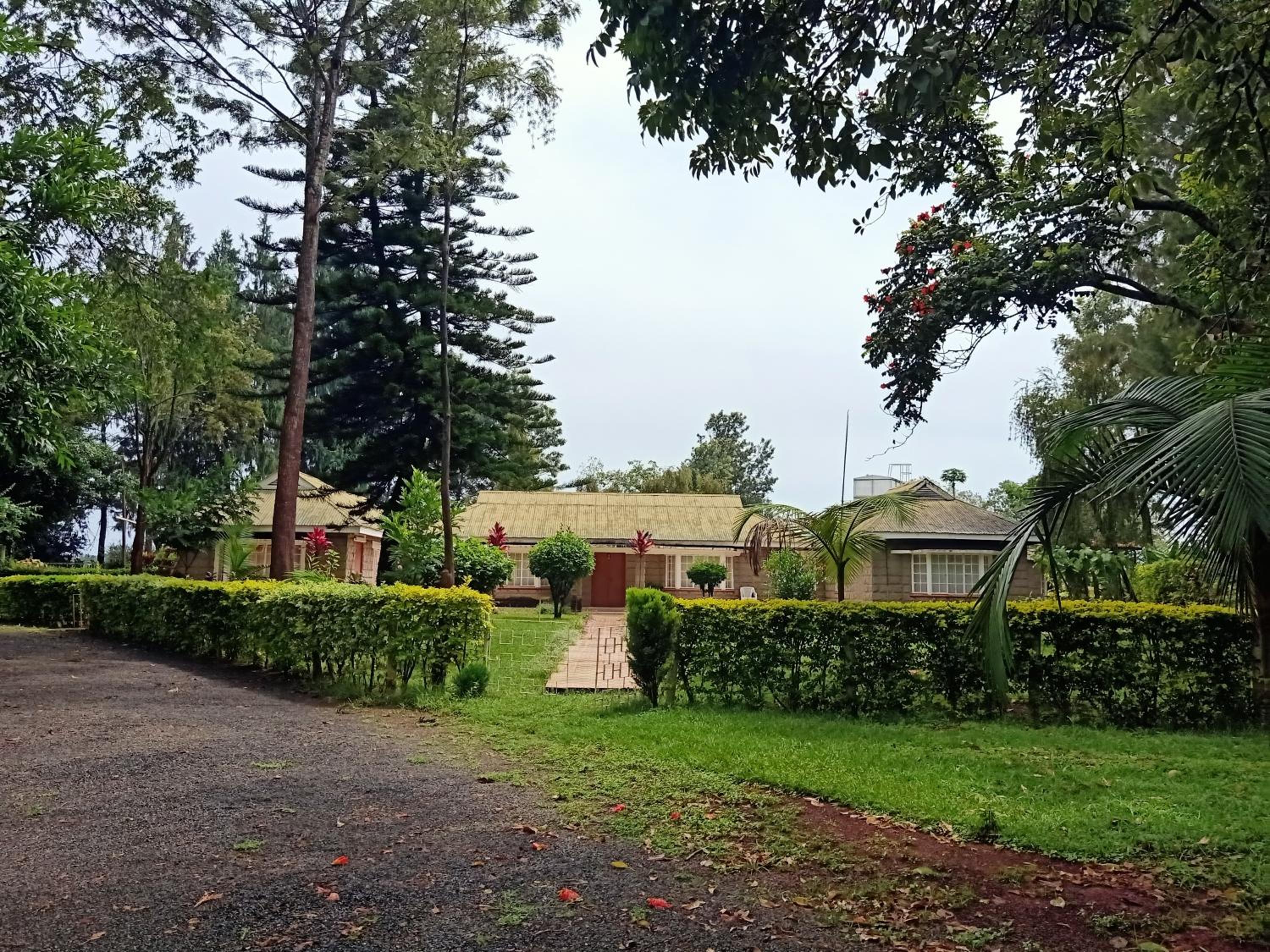 Photo 18