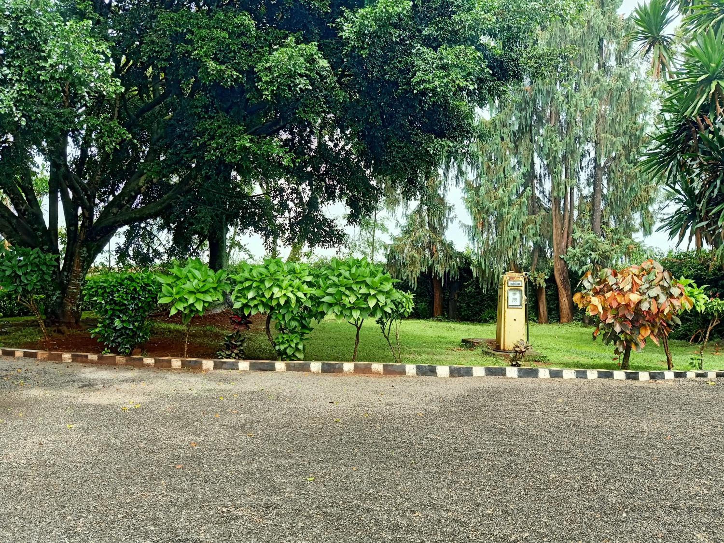 Photo 22