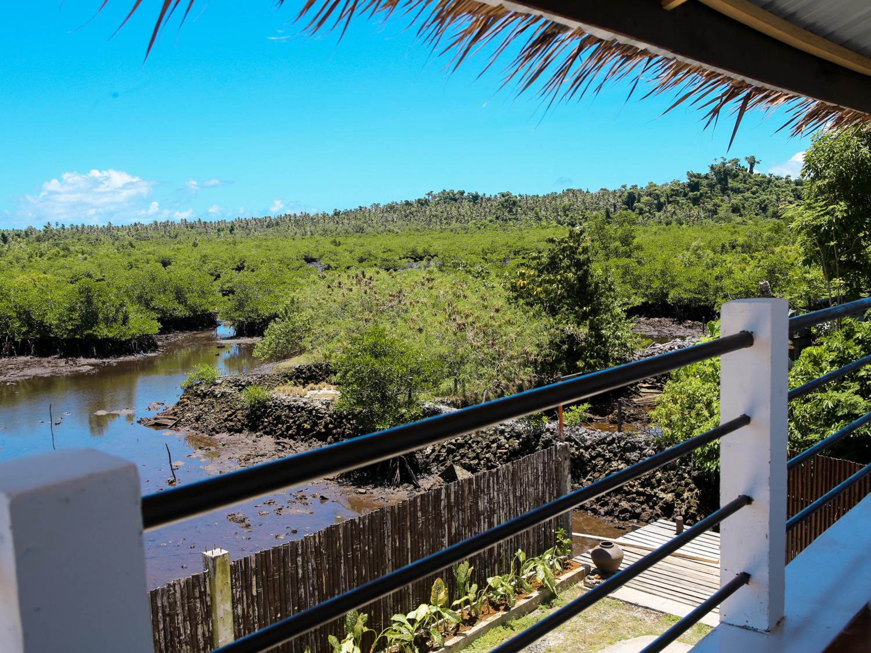 NOGS Homestay, near Magpupungko, Siargao Island Surfings Spots view 2