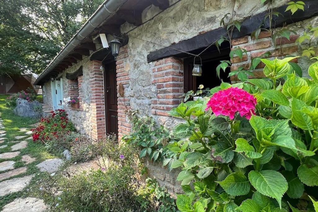 Los Acebos de Peña Cabarga, Cúpula experiencias