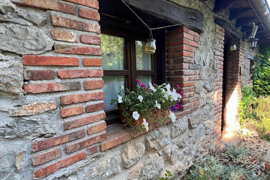 Los Acebos de Peña Cabarga, Cúpula experiencias