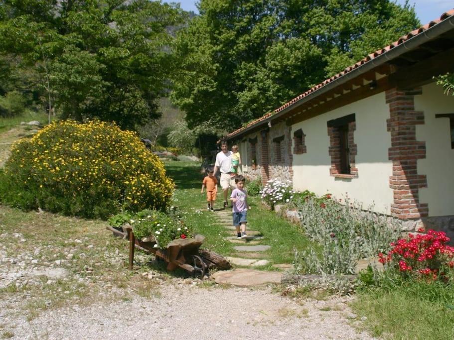Los Acebos de Peña Cabarga, Cúpula experiencias