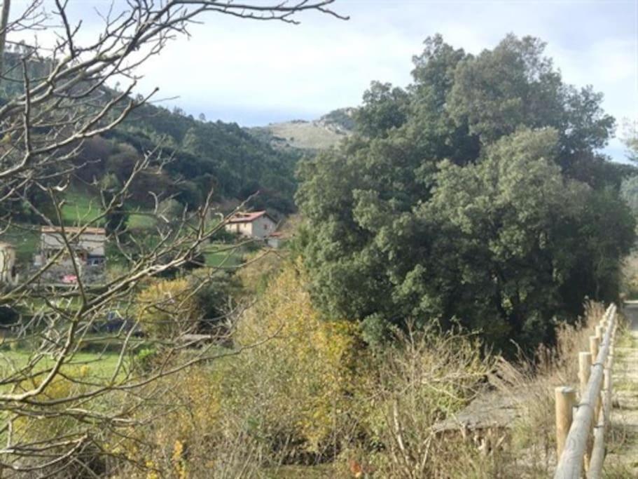 Los Acebos de Peña Cabarga, Cúpula experiencias