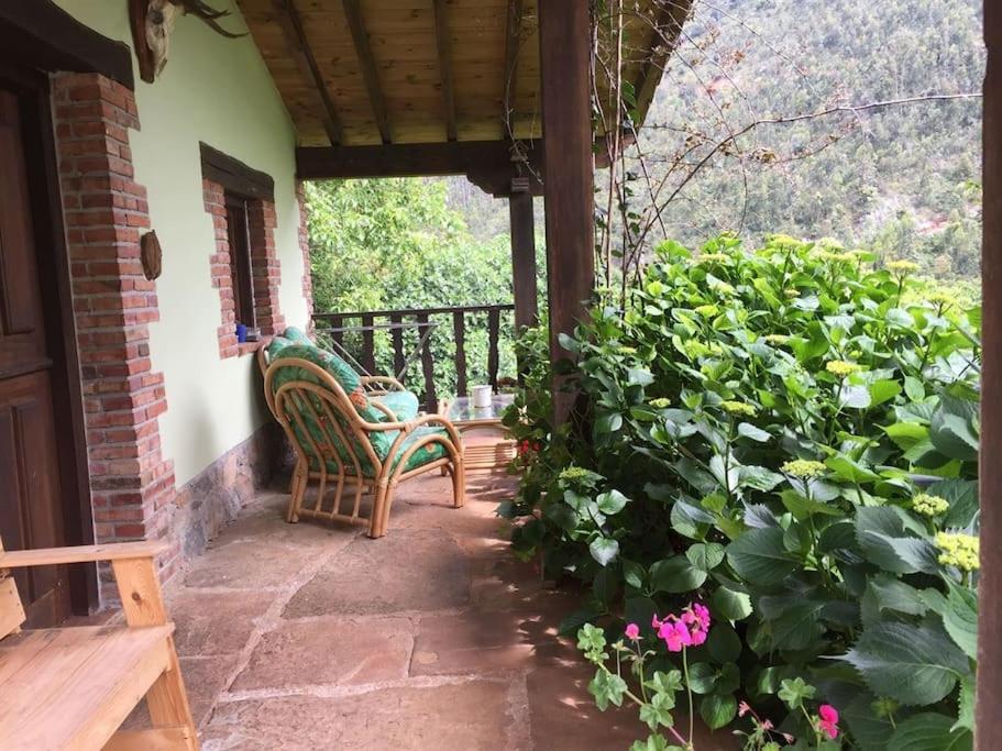 Los Acebos de Peña Cabarga, Cúpula experiencias