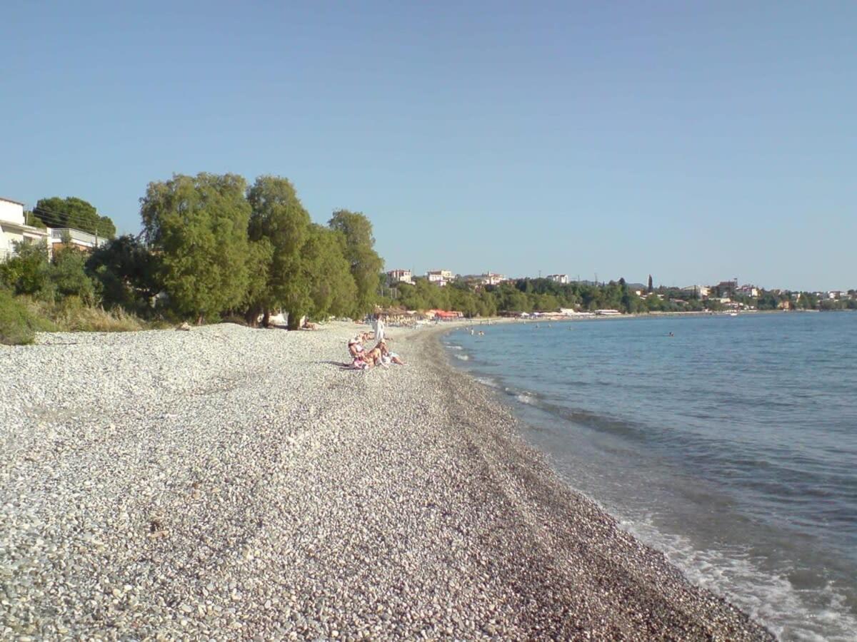 Photo 32