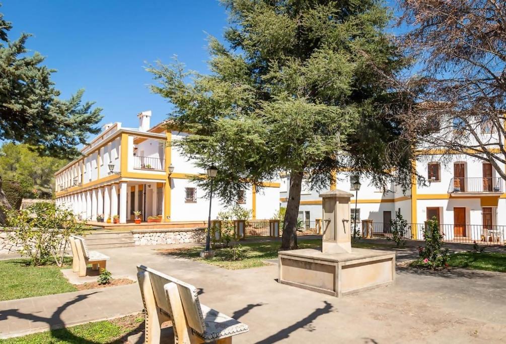 Toque Andaluz Zarzas