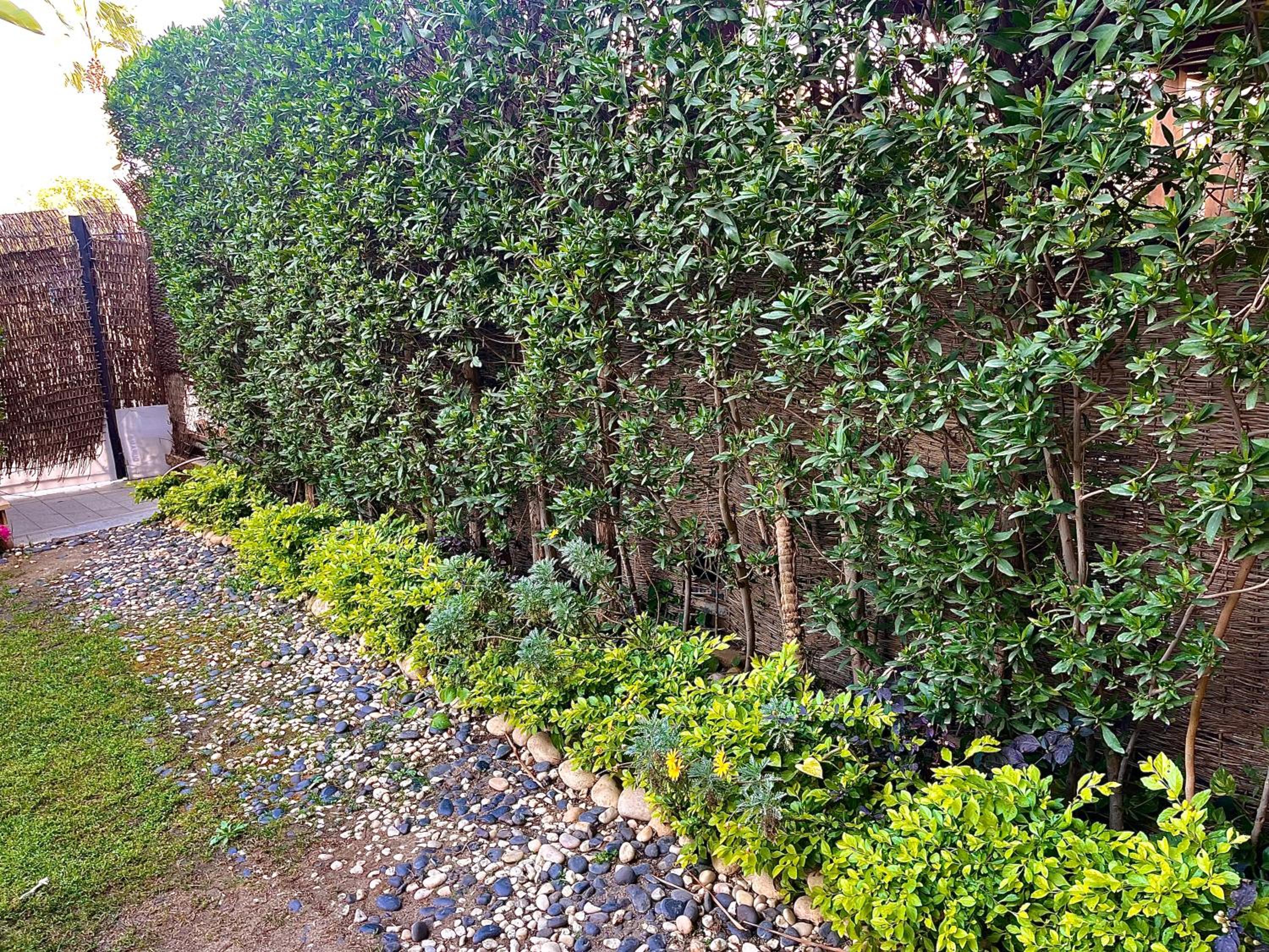 Boho Westown Apartment with Garden Families only