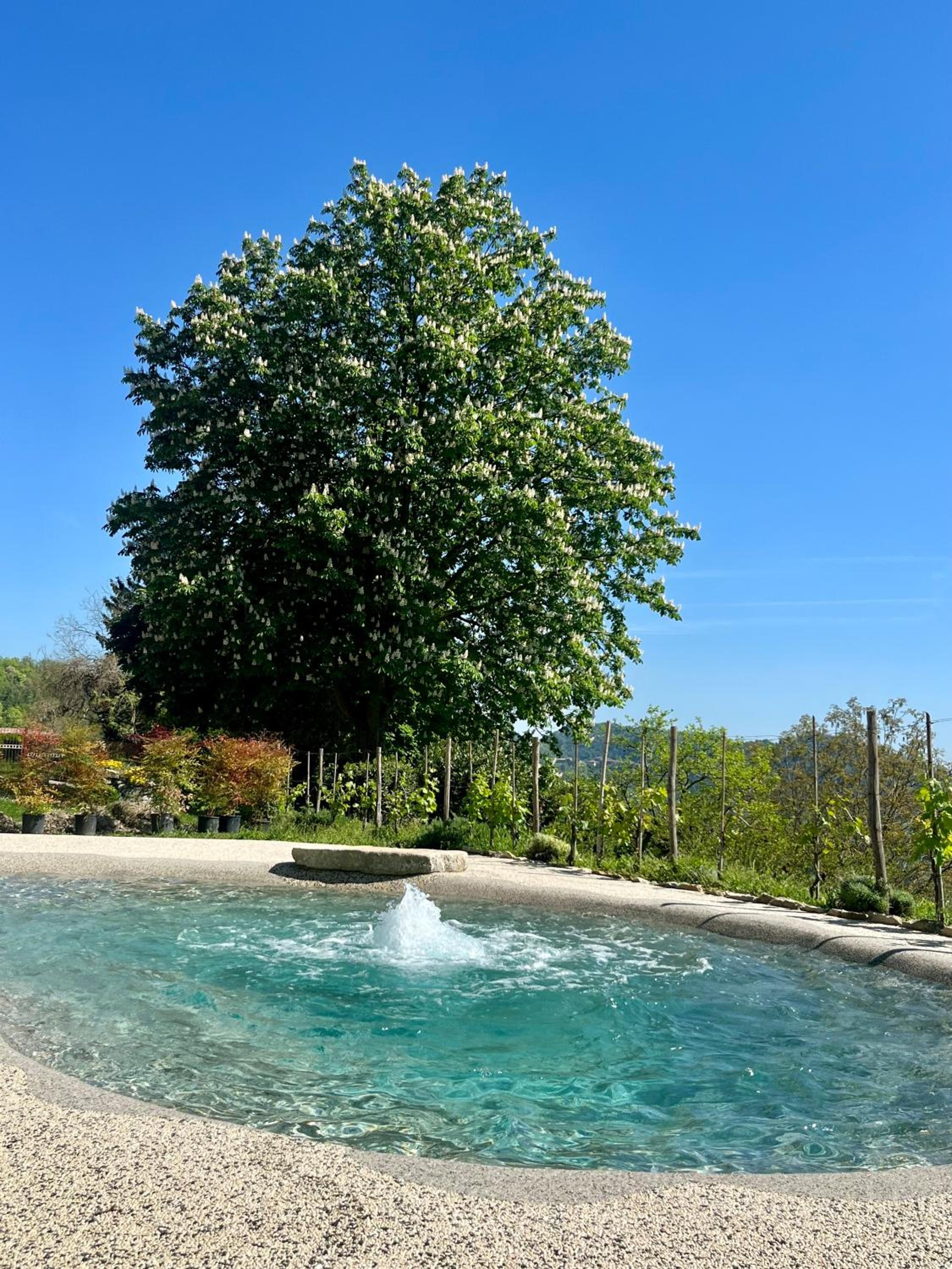 Cascina Voglietti