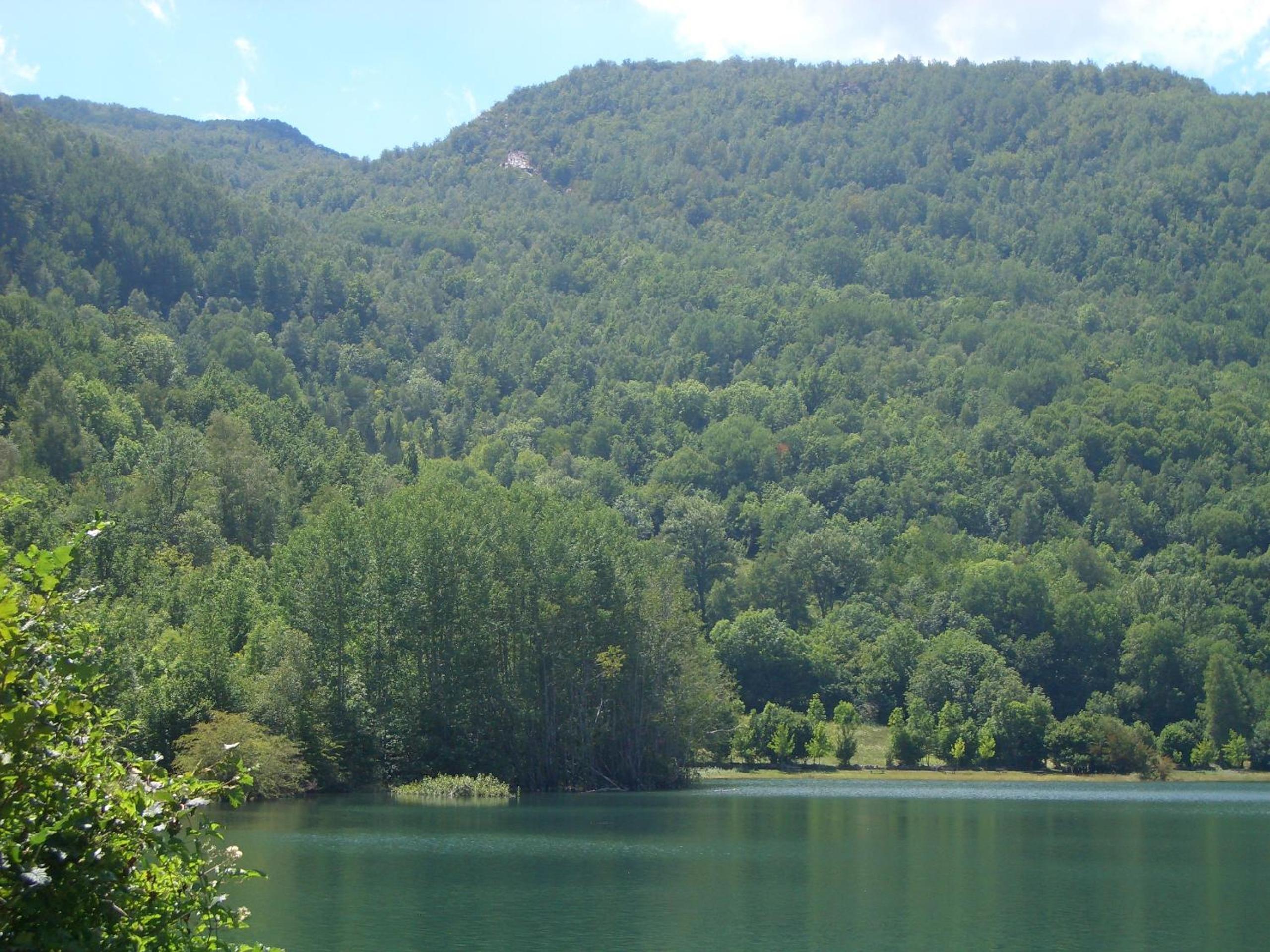 Photo 48