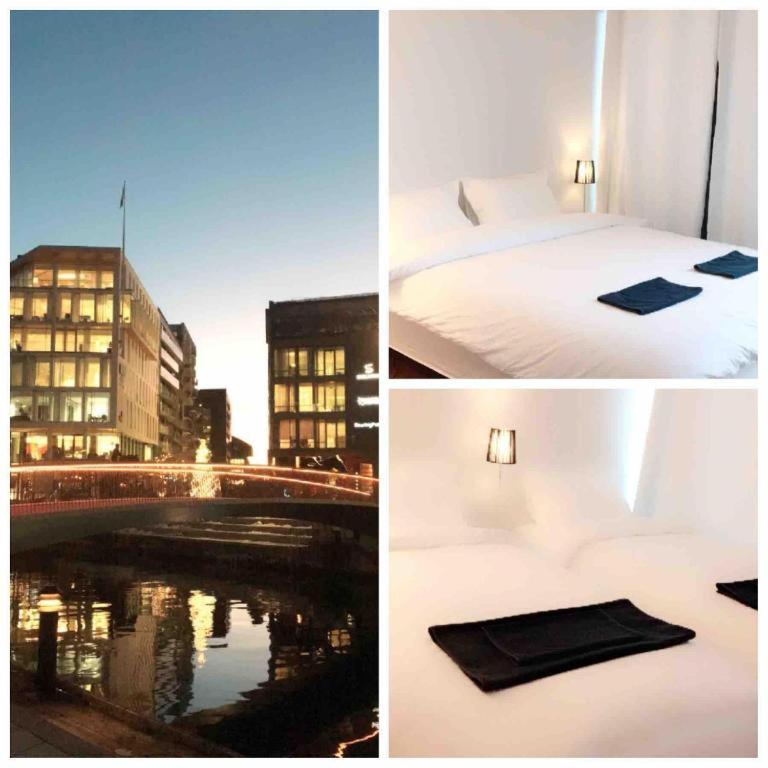 Photo 51