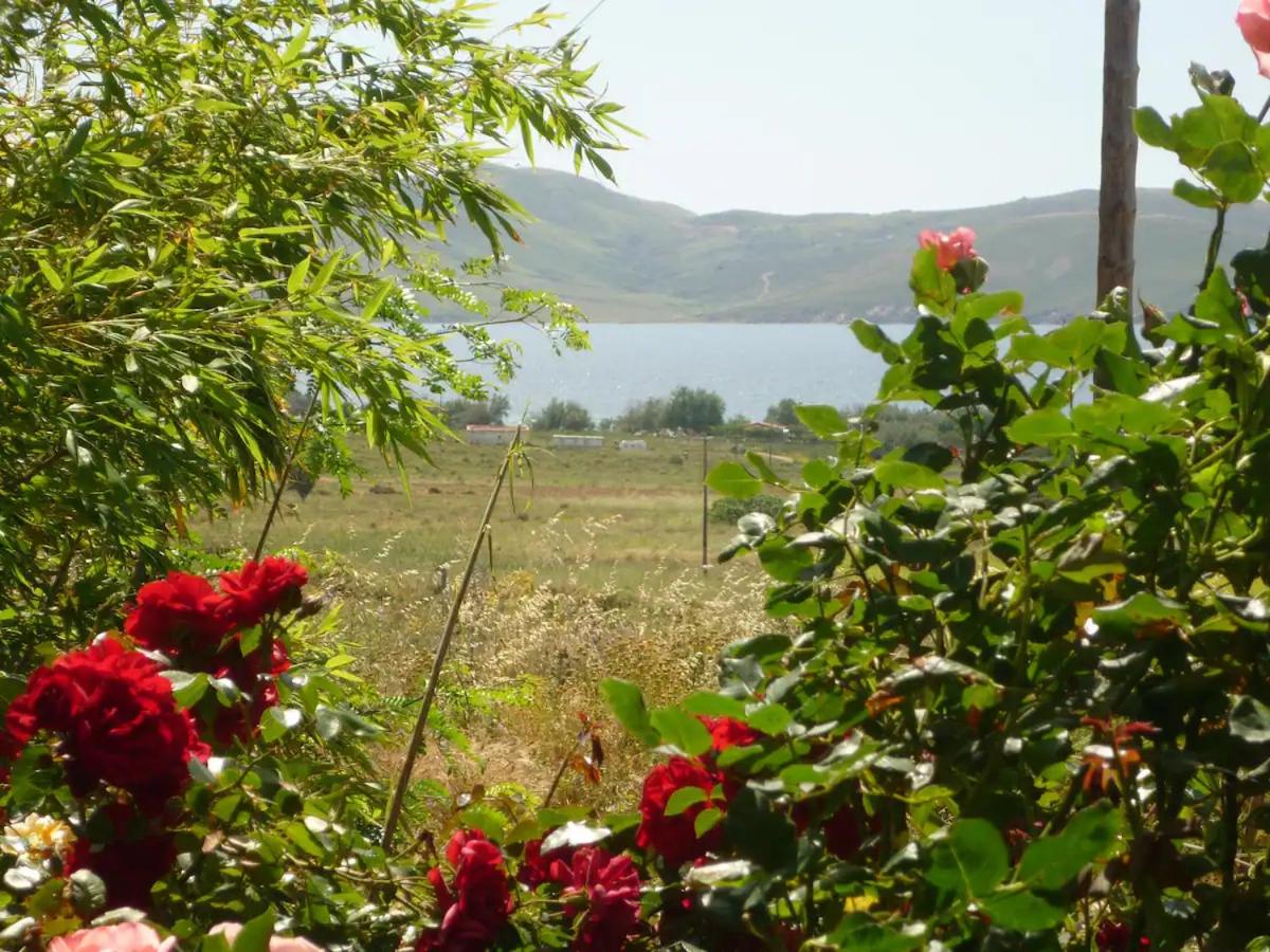 HAVOULI STUDIO 1