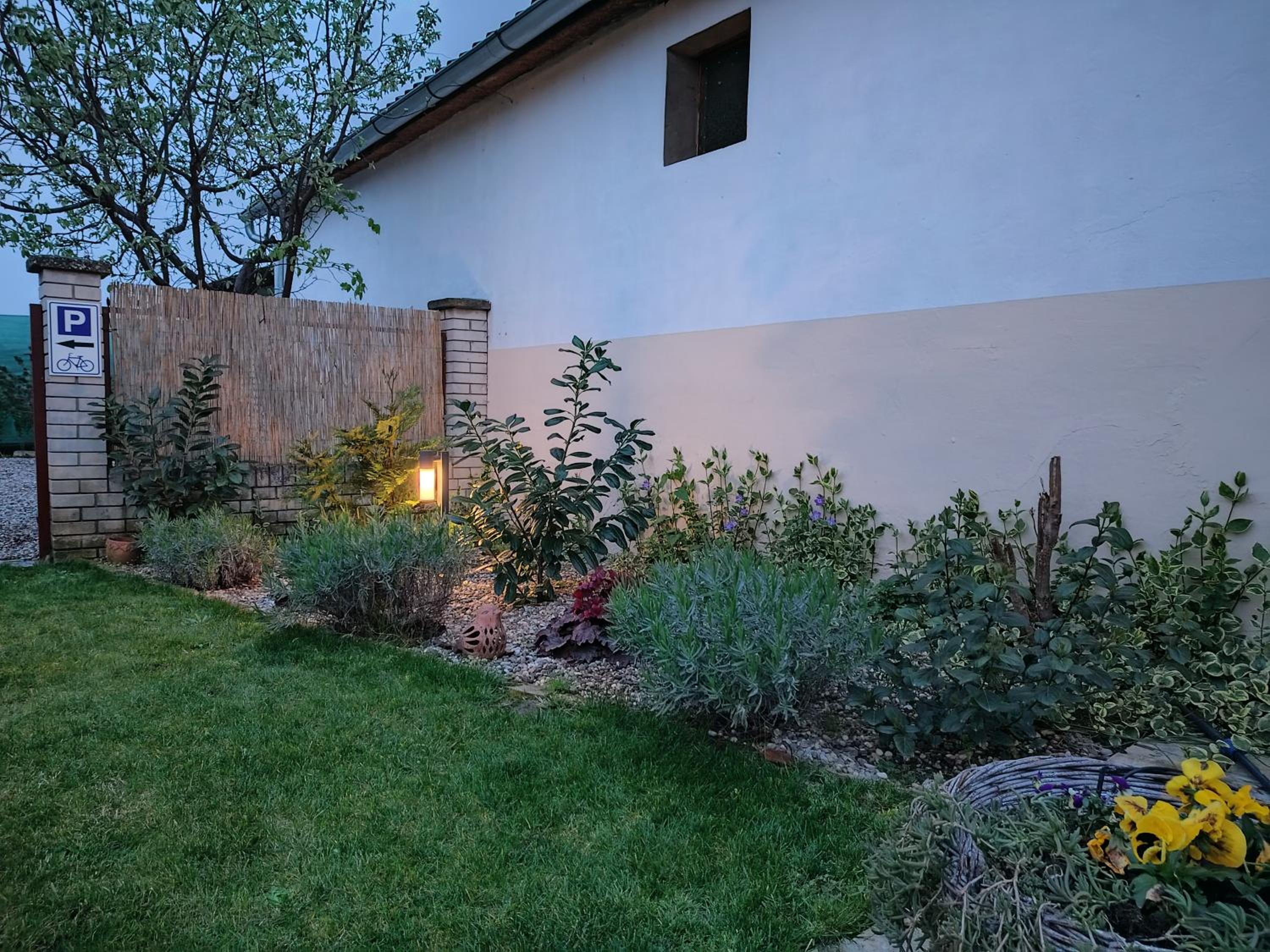 Photo 44