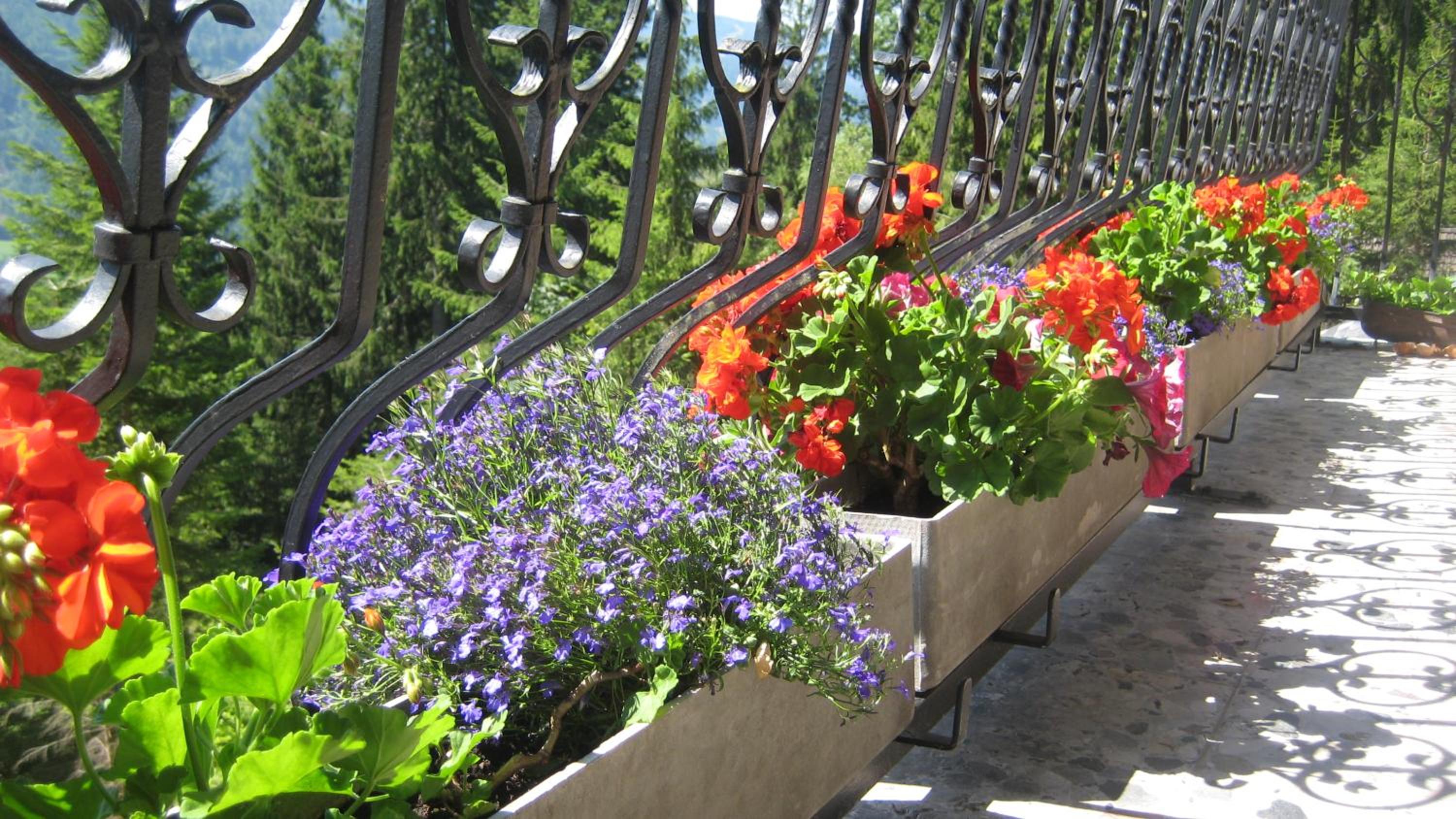 Semmering Villa Sonnenschein