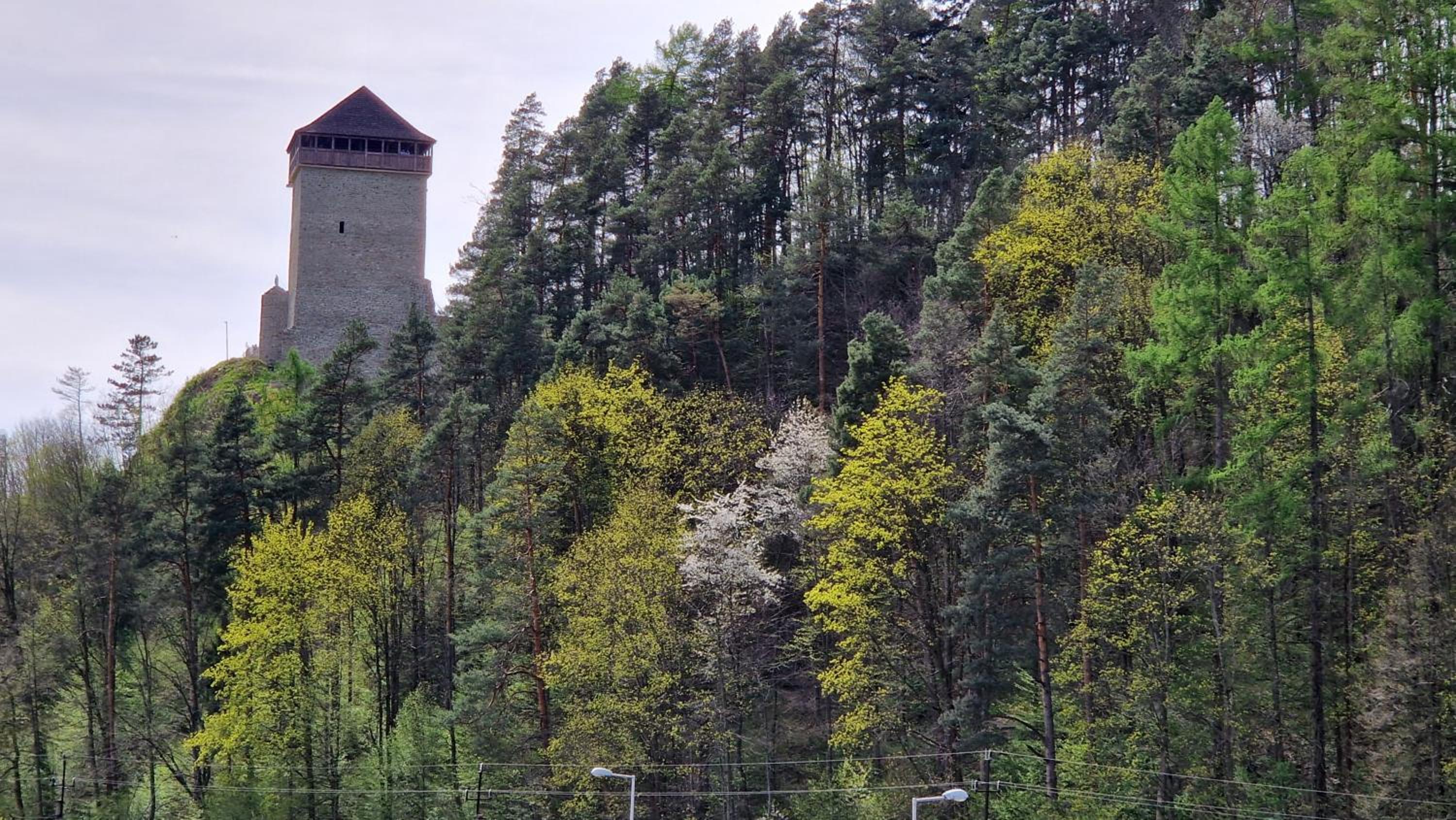 Photo 47